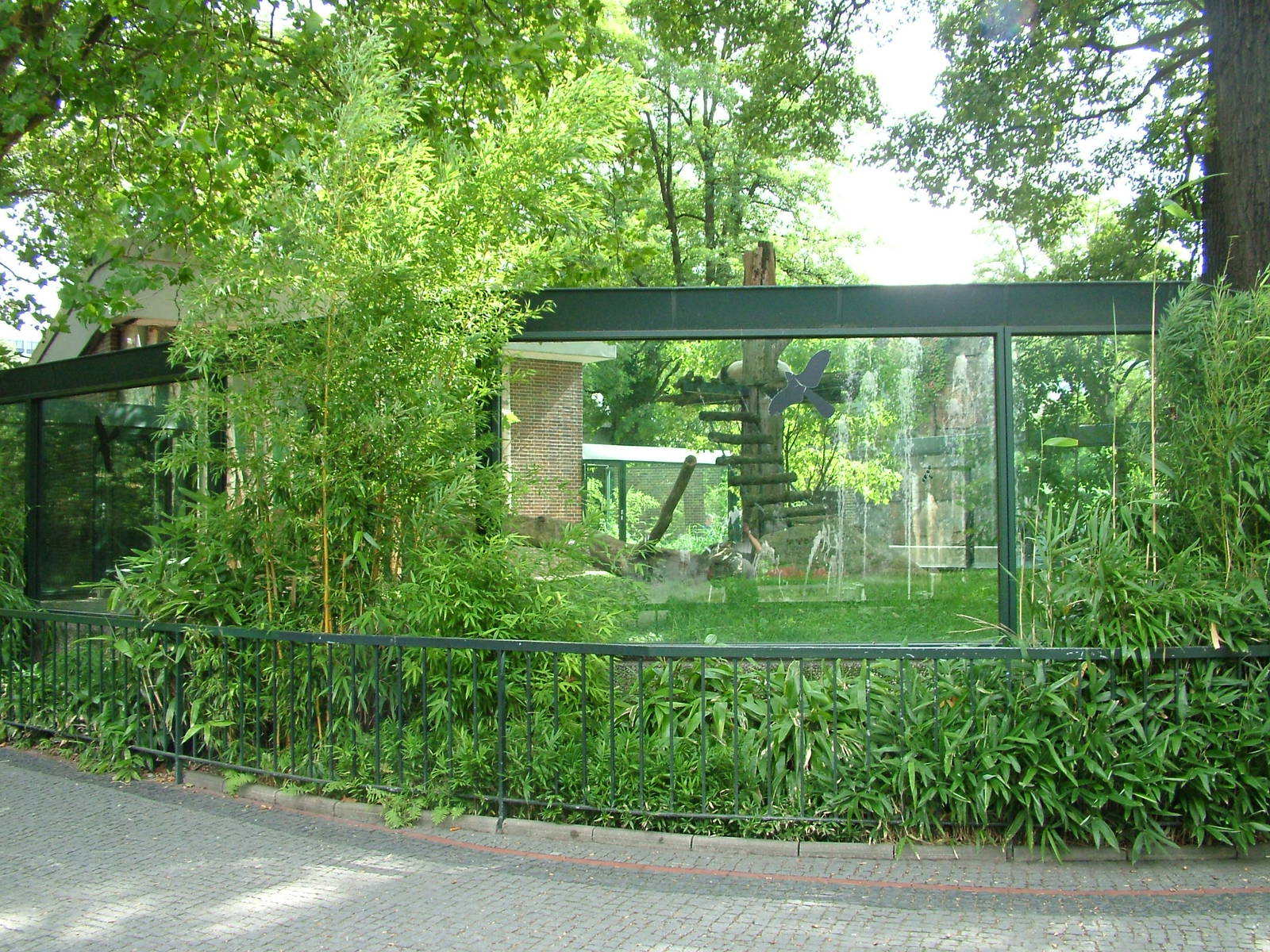 Giant Panda Exhibit at Berlin Zoo, 31/08/11