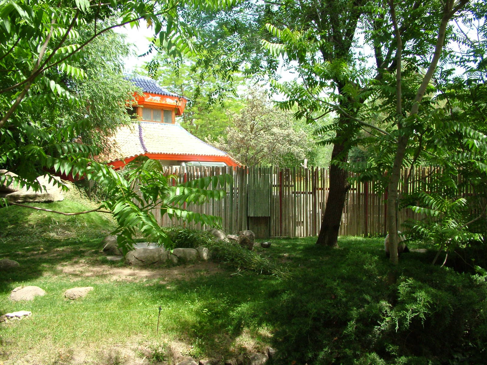 Giant Panda Exhibit at Madrid Zoo Aquarium, 26/05/11