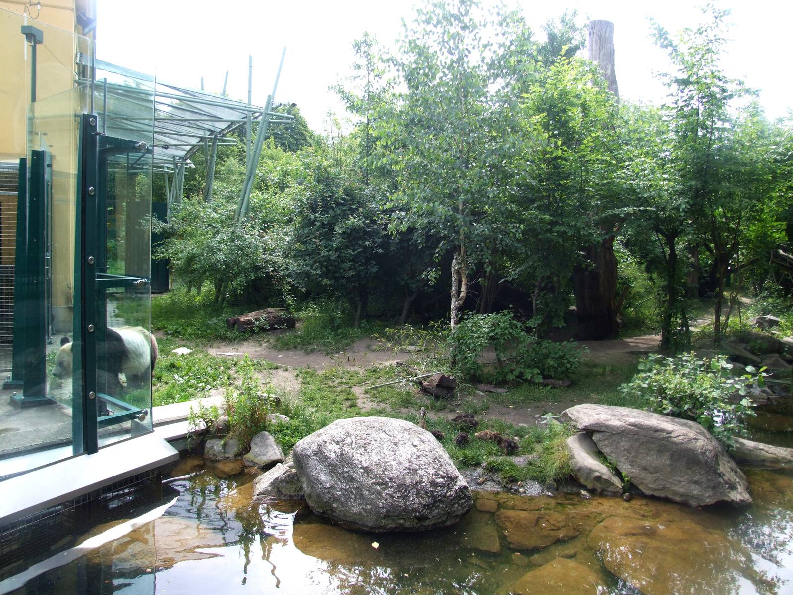 Giant Panda Exhibit at Vienna, 14/06/13