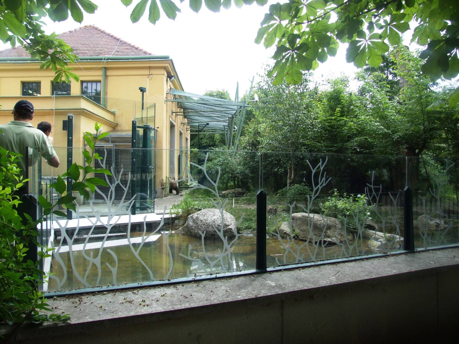 Giant Panda Exhibit at Vienna, 16/06/13