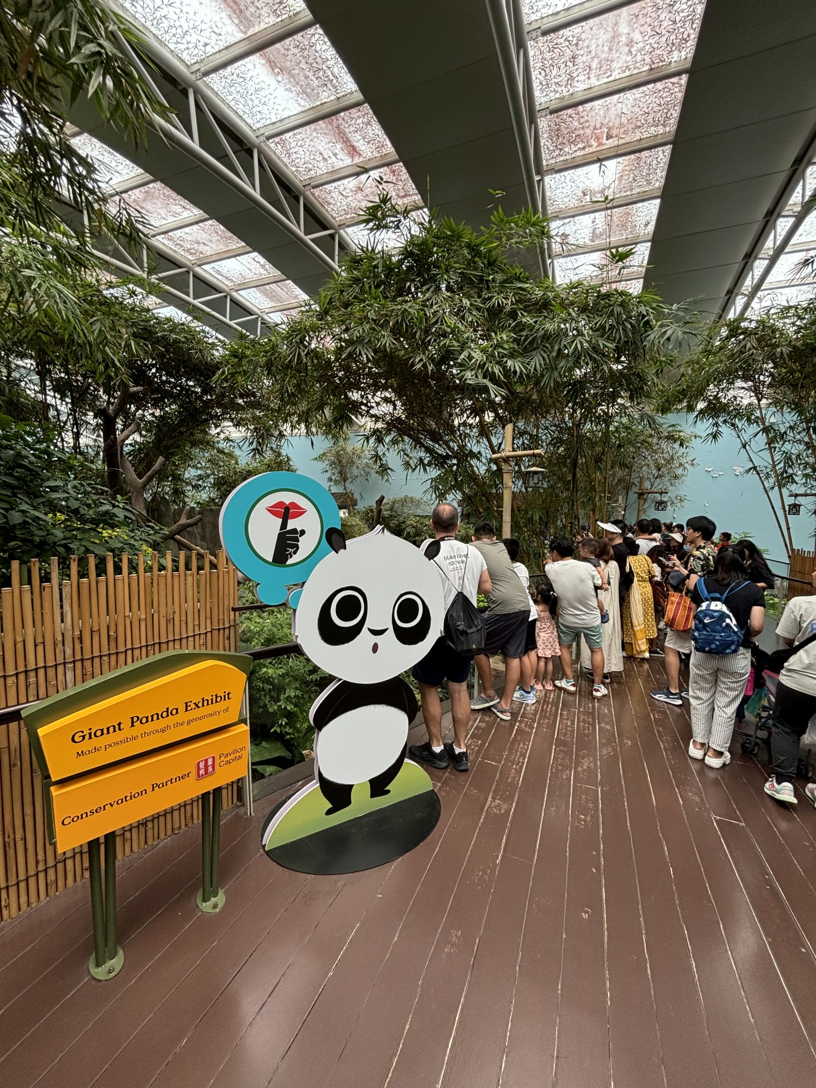 Giant Panda Exhibit - busy!