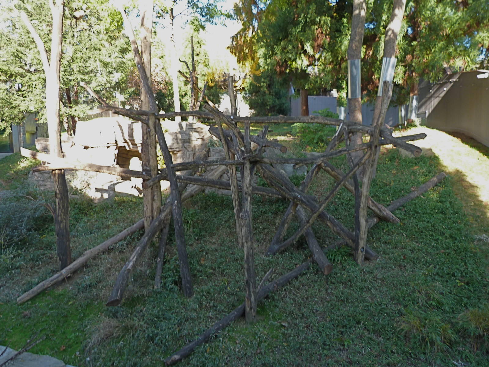Giant Panda Exhibit Furniture Nov. 2014