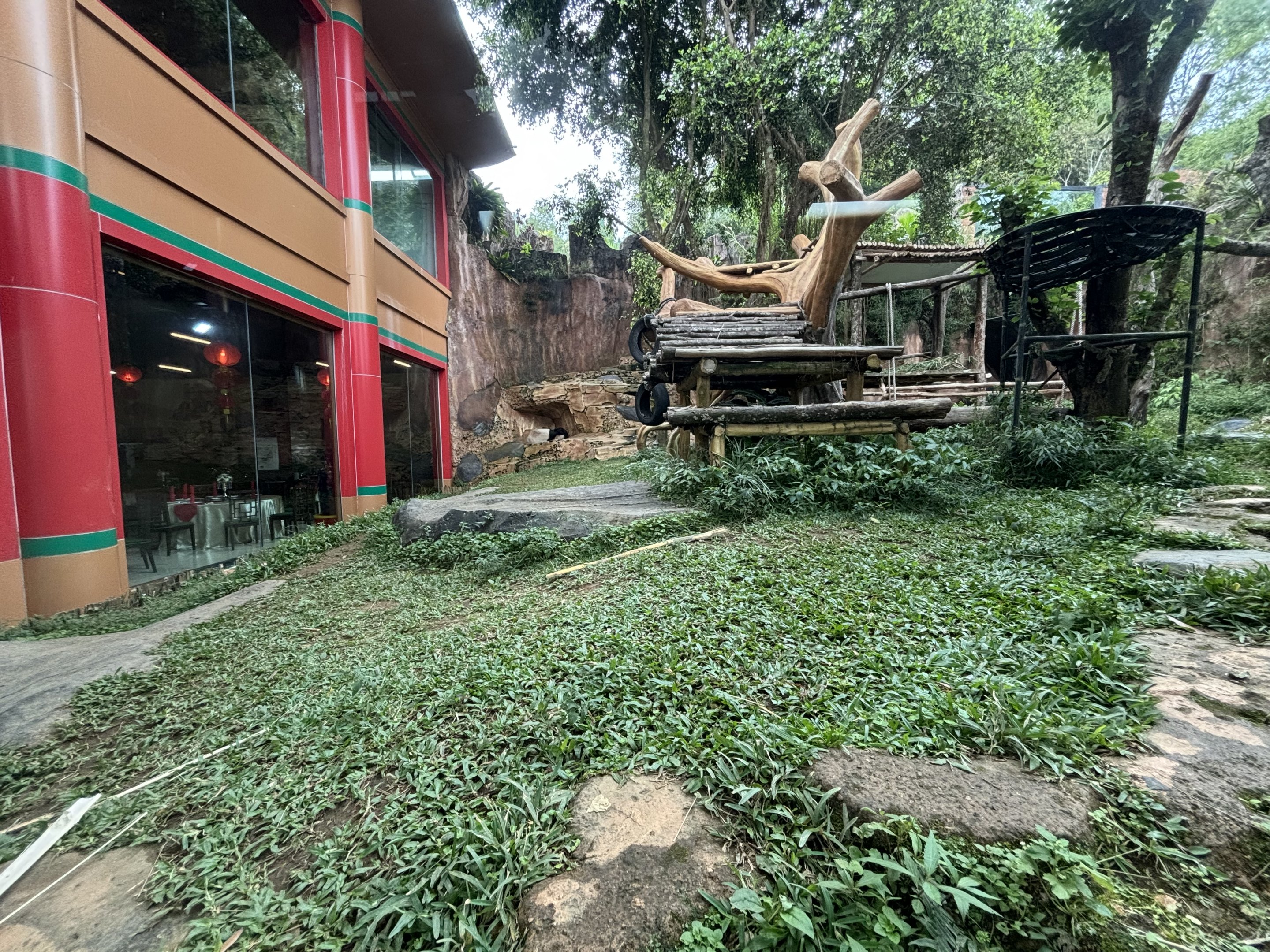 Giant Panda Exhibit - Giant Panda Complex