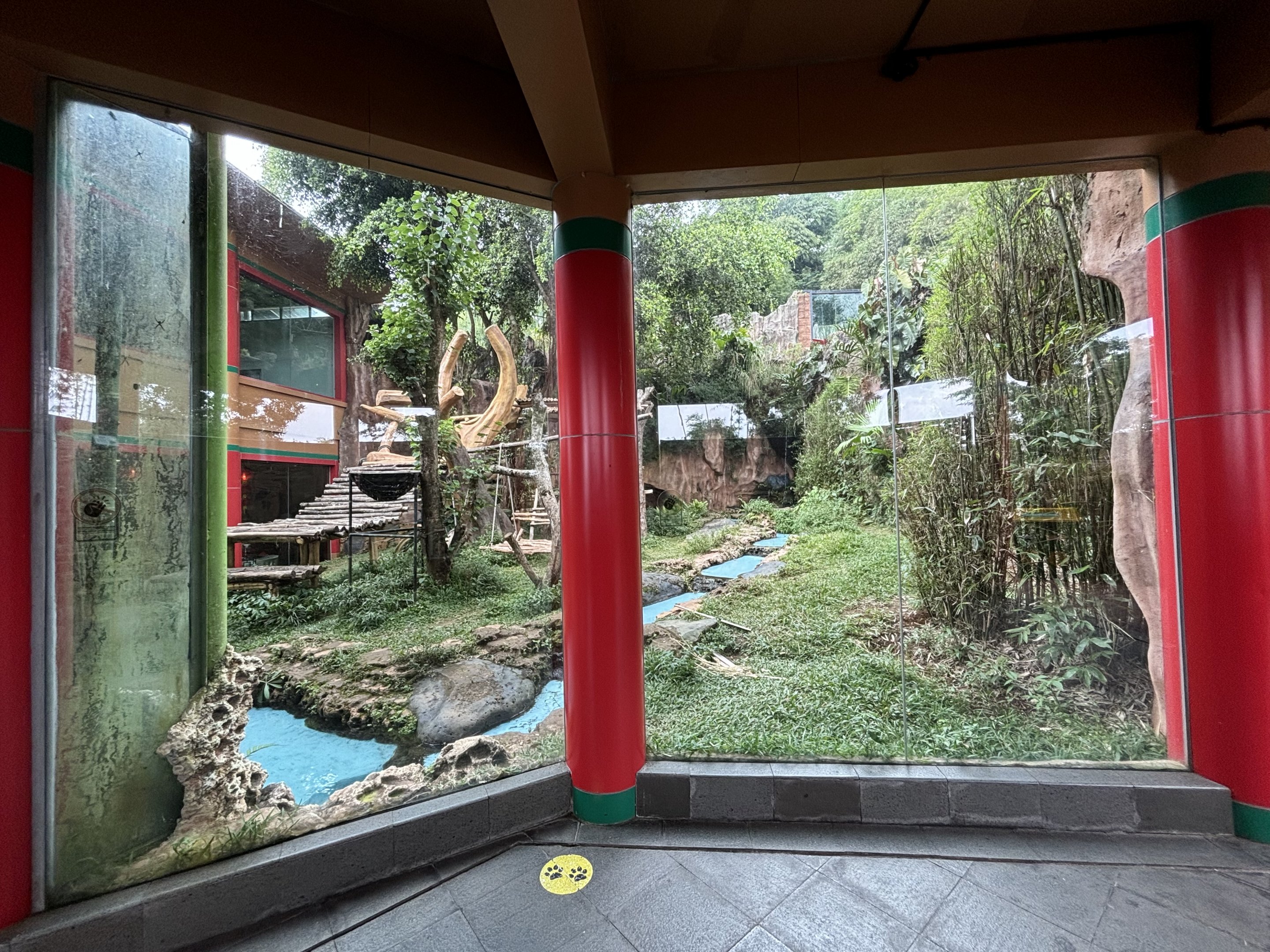 Giant Panda Exhibit - Giant Panda Complex