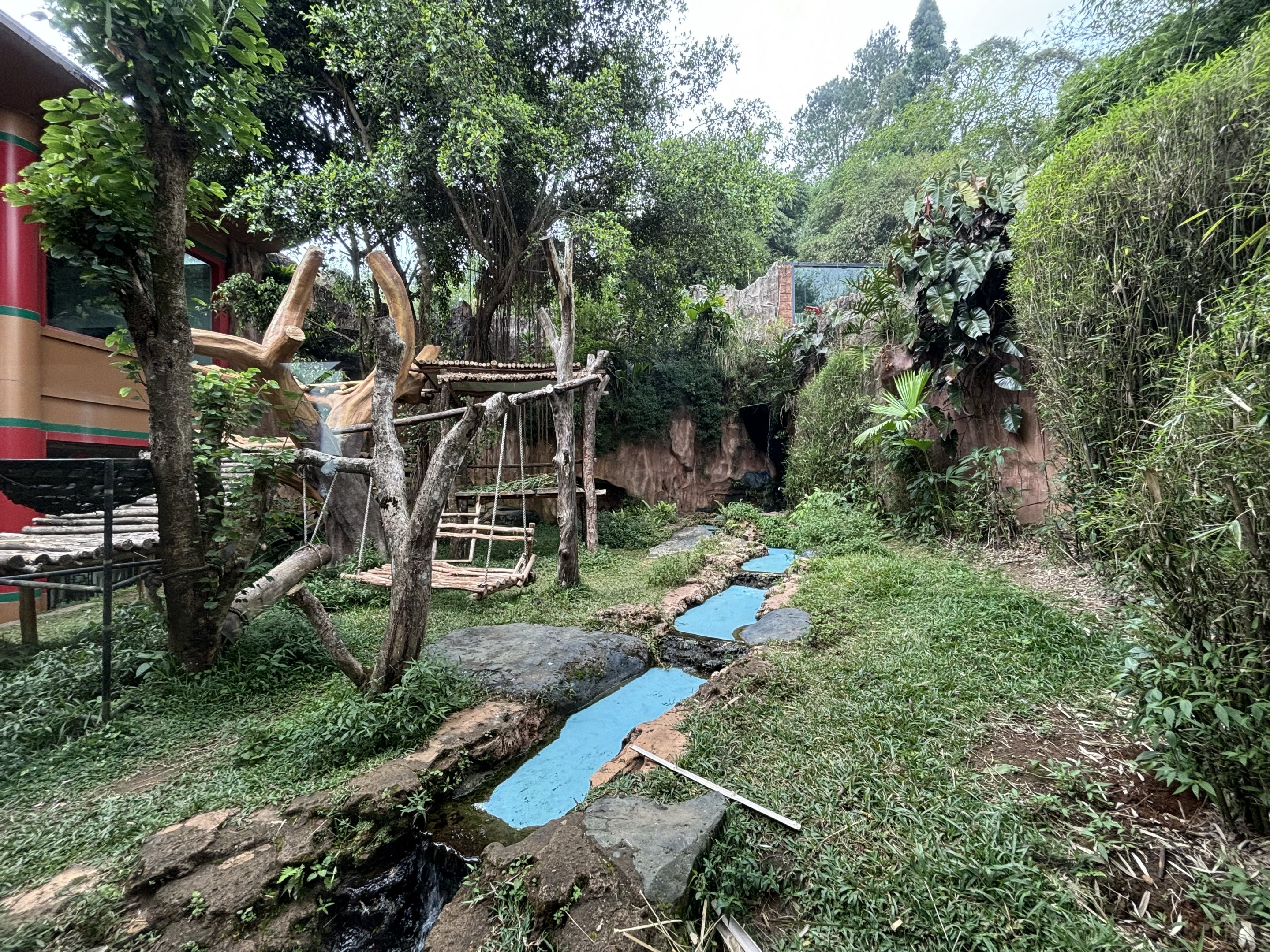 Giant Panda Exhibit - Giant Panda Complex