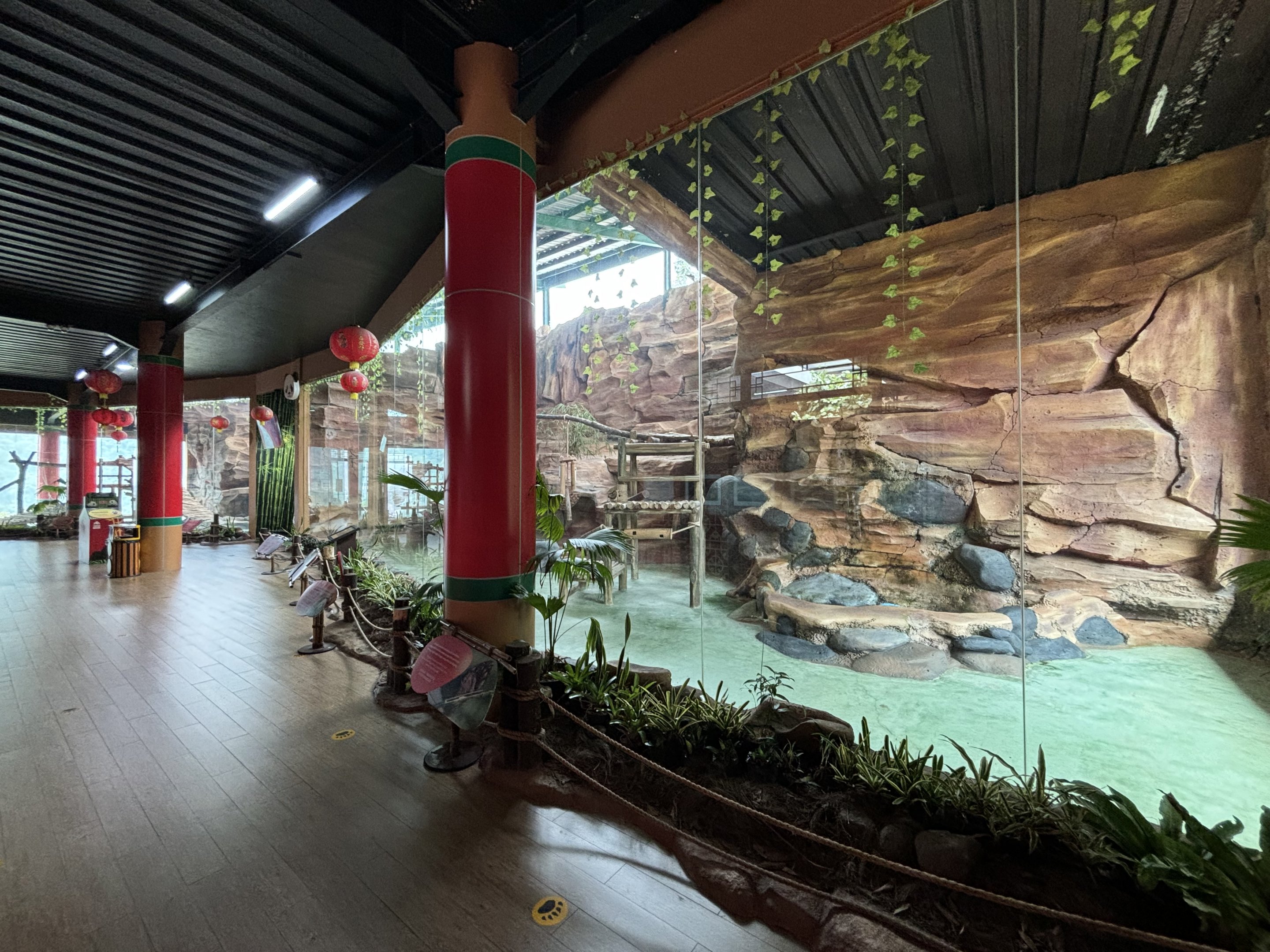 Giant Panda Exhibit - Giant Panda Complex