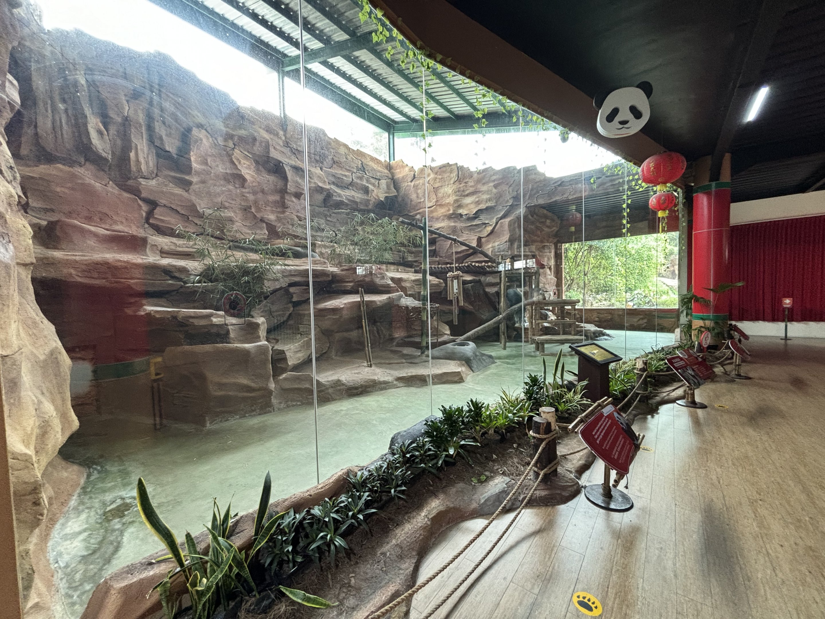 Giant Panda Exhibit - Giant Panda Complex