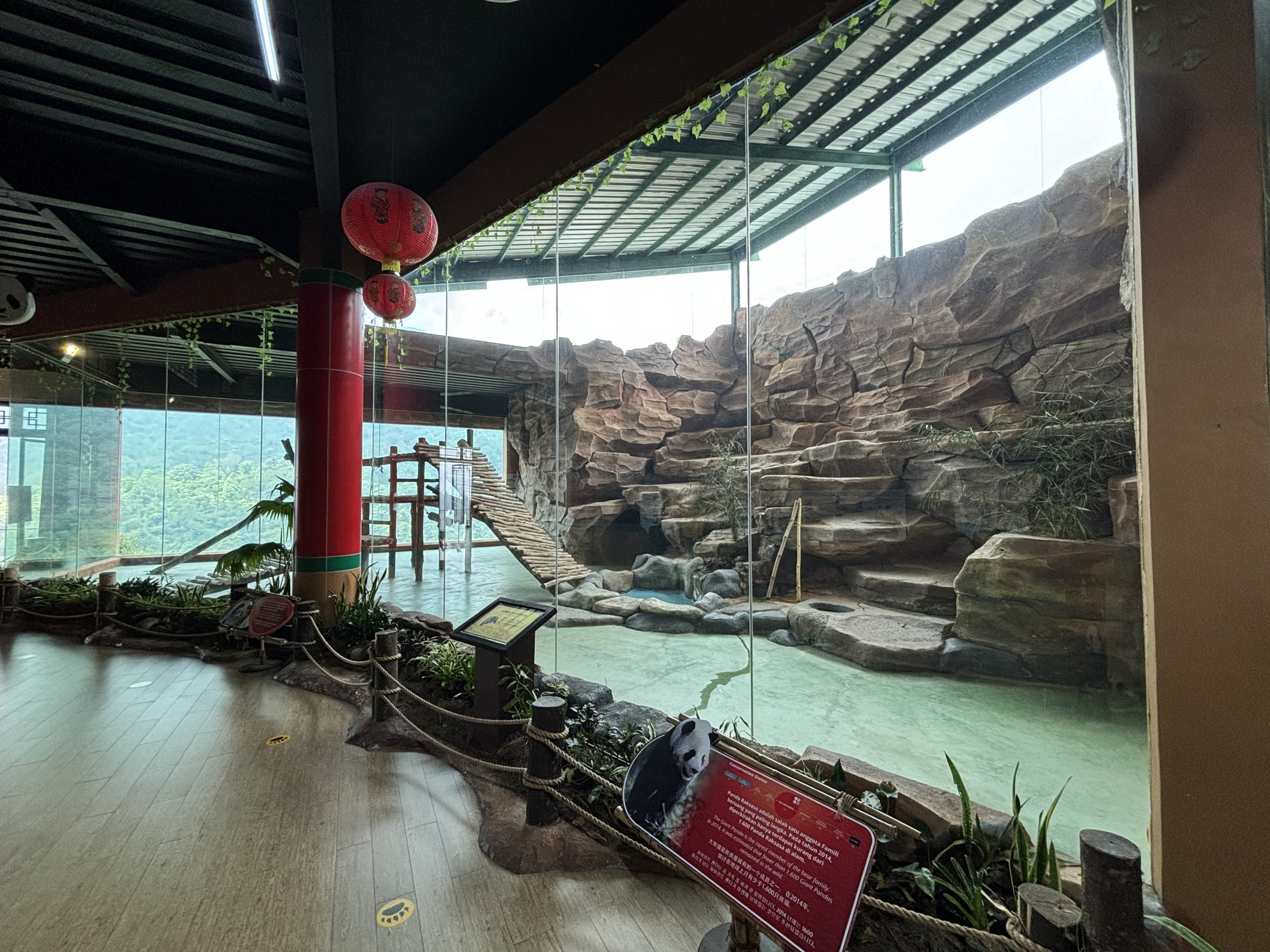 Giant Panda Exhibit - Giant Panda Complex