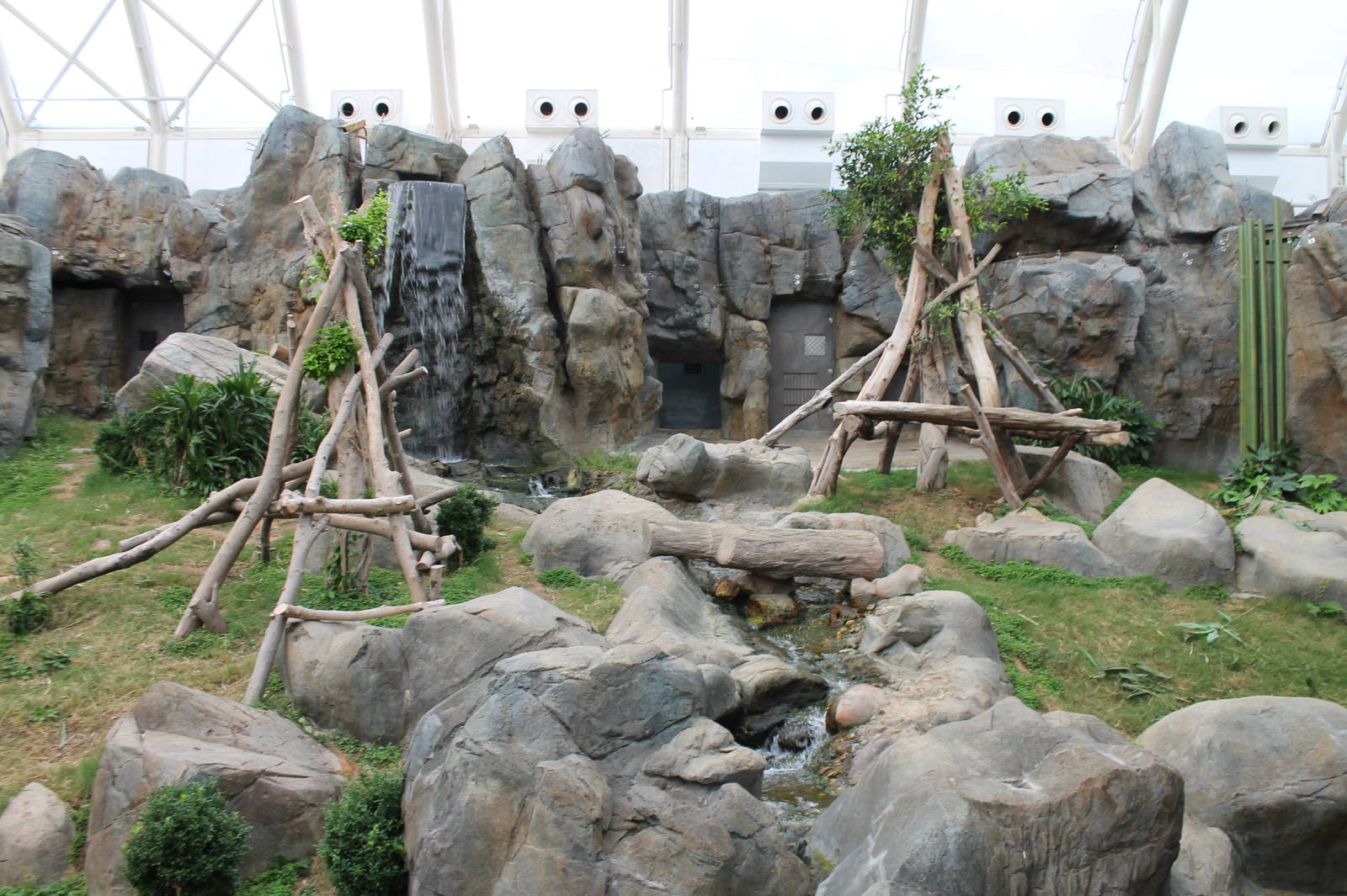 Giant Panda exhibit - June 2013