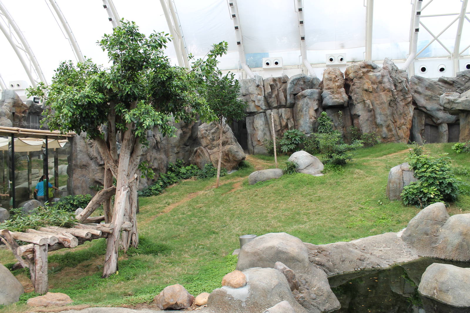 Giant Panda exhibit - June 2013