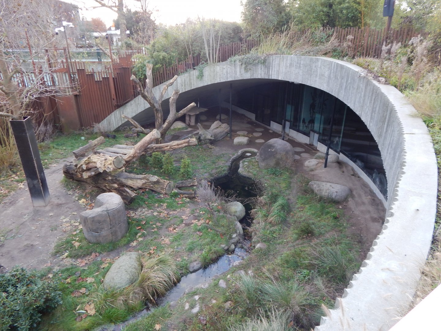 Giant panda exhibit no.2 261124