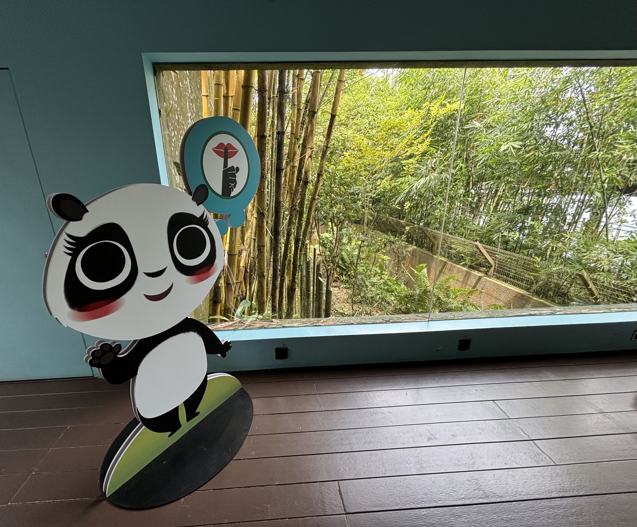 Giant Panda Exhibit - outdoor yard