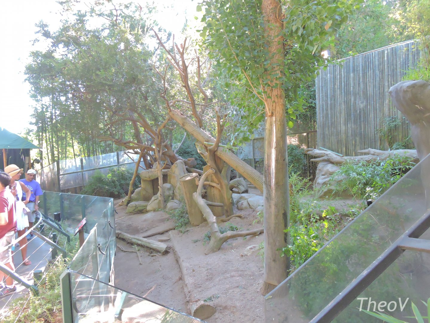 Giant panda exhibit - Panda Canyon [2015]