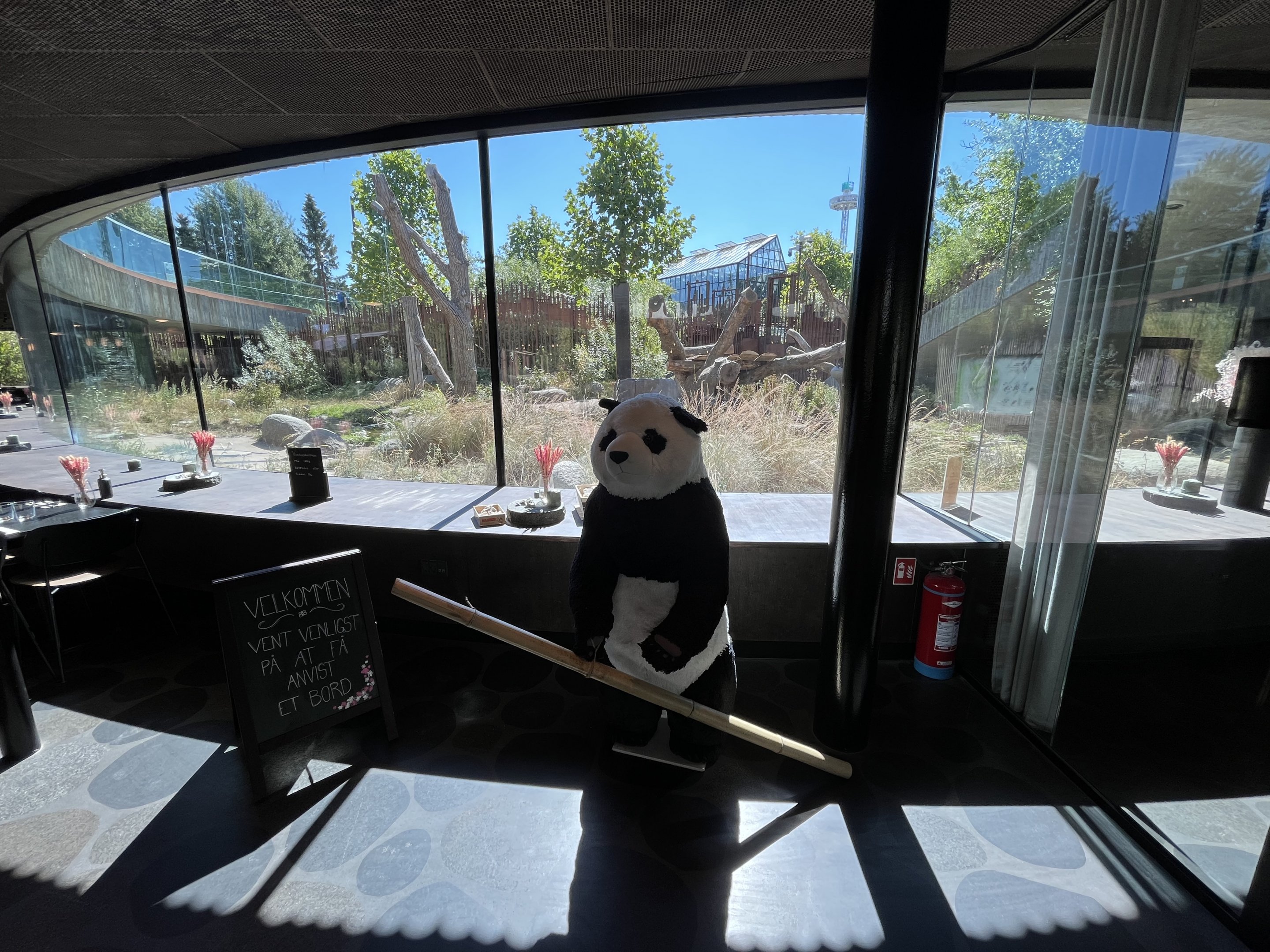 Giant Panda Exhibit - restaurant