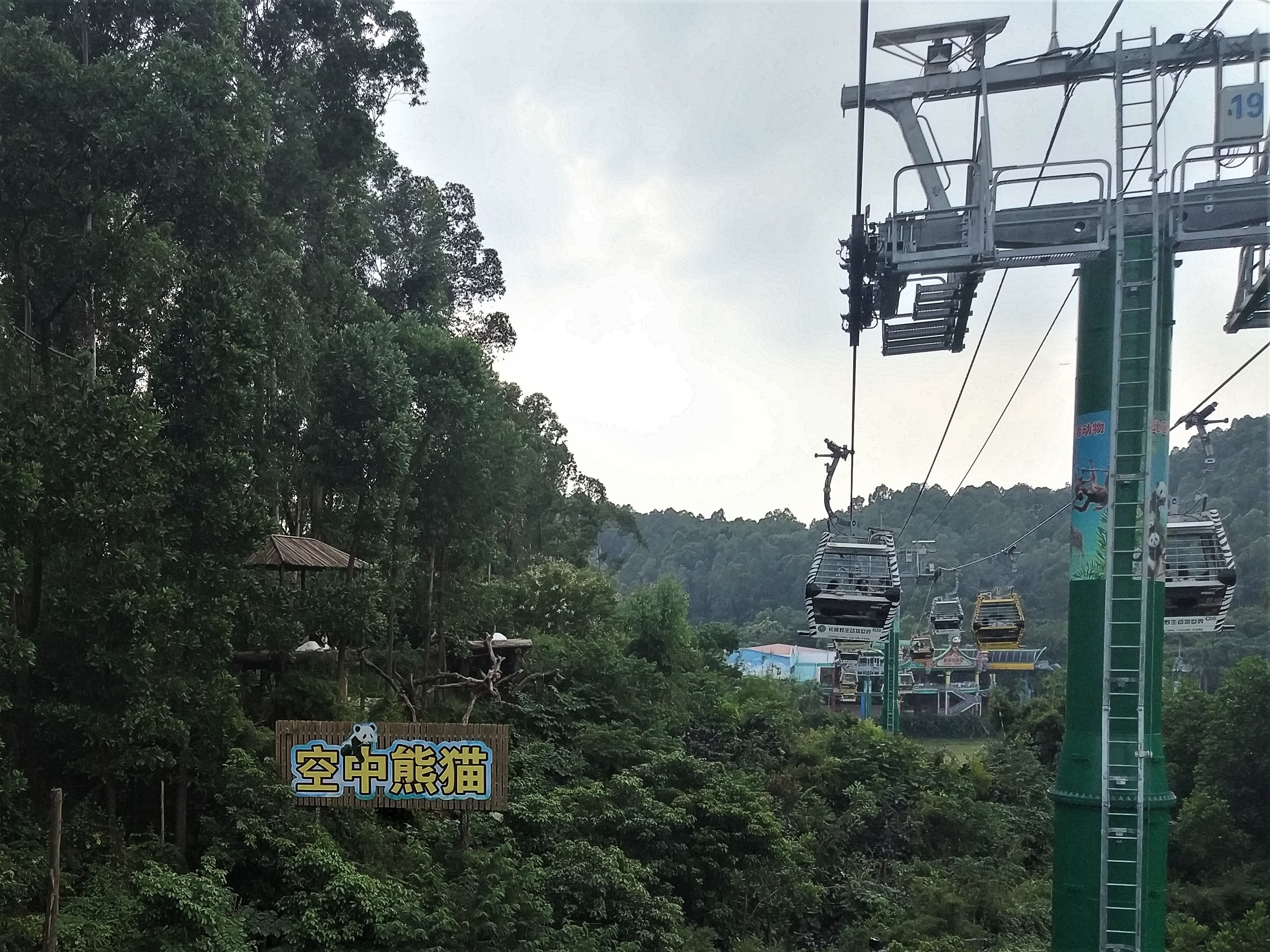 Giant Panda Exhibit, seen from Cable Car