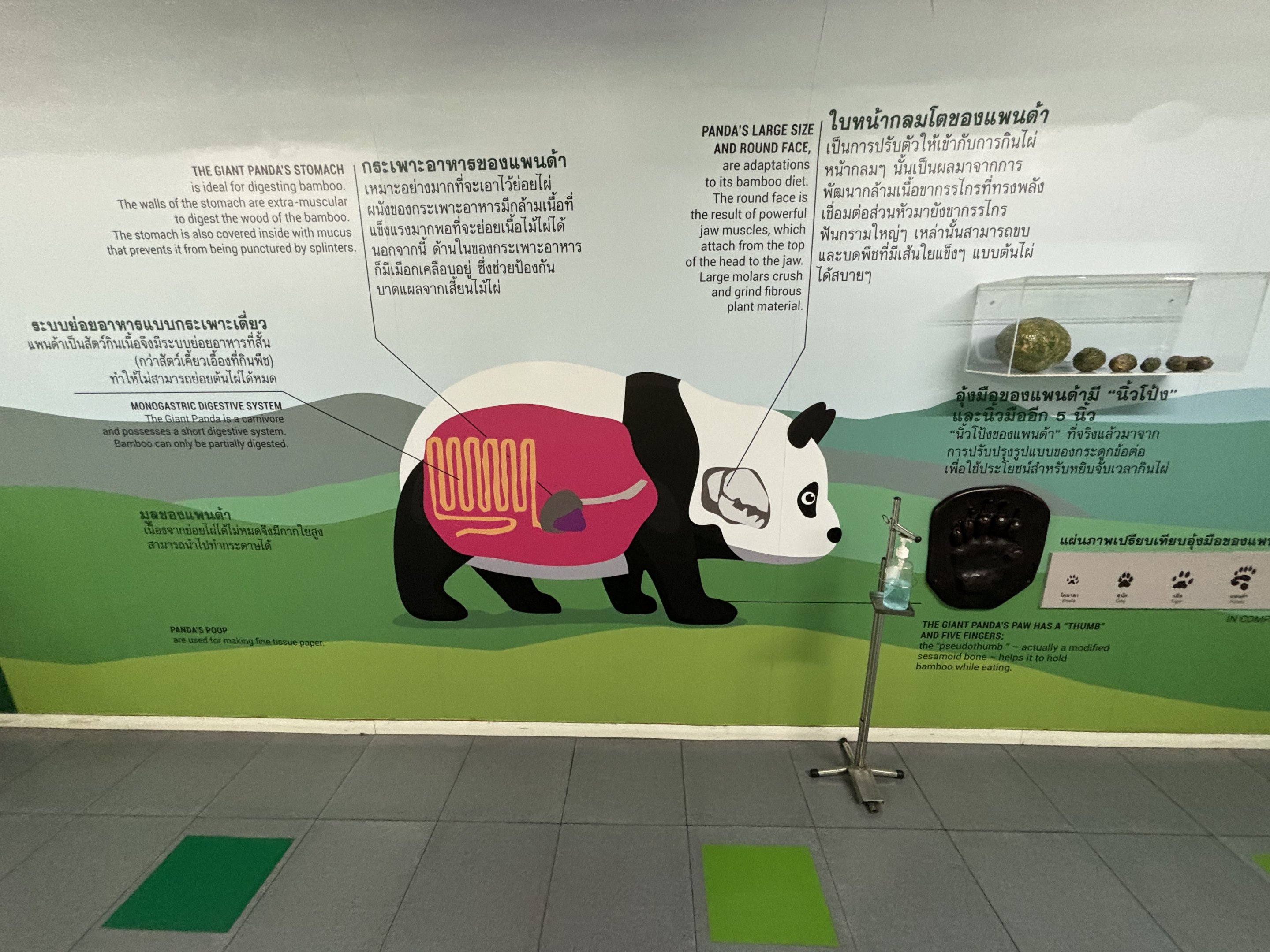 Giant Panda Exhibit - sign