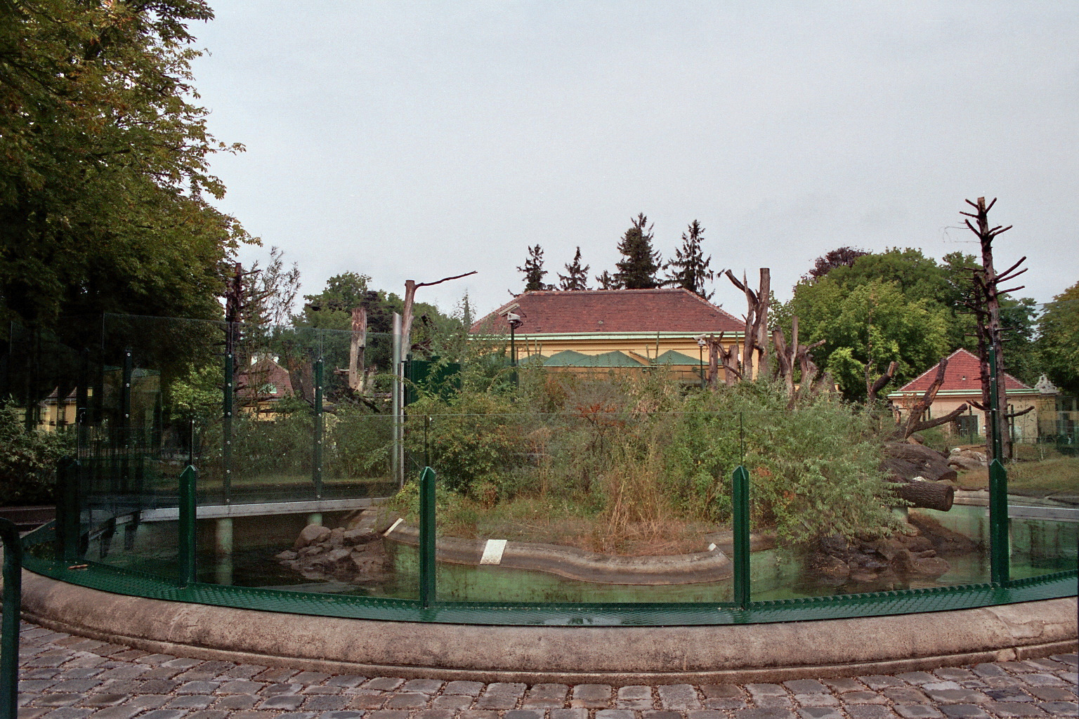 Giant panda Exhibit with pool