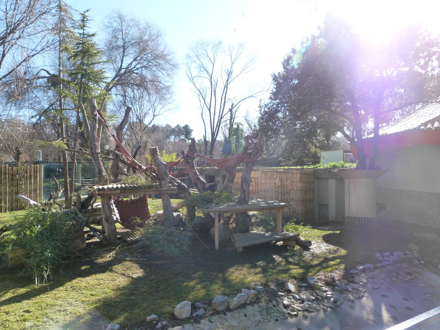 Giant panda exhibit -Zoo Aquarium de Madrid (2025)