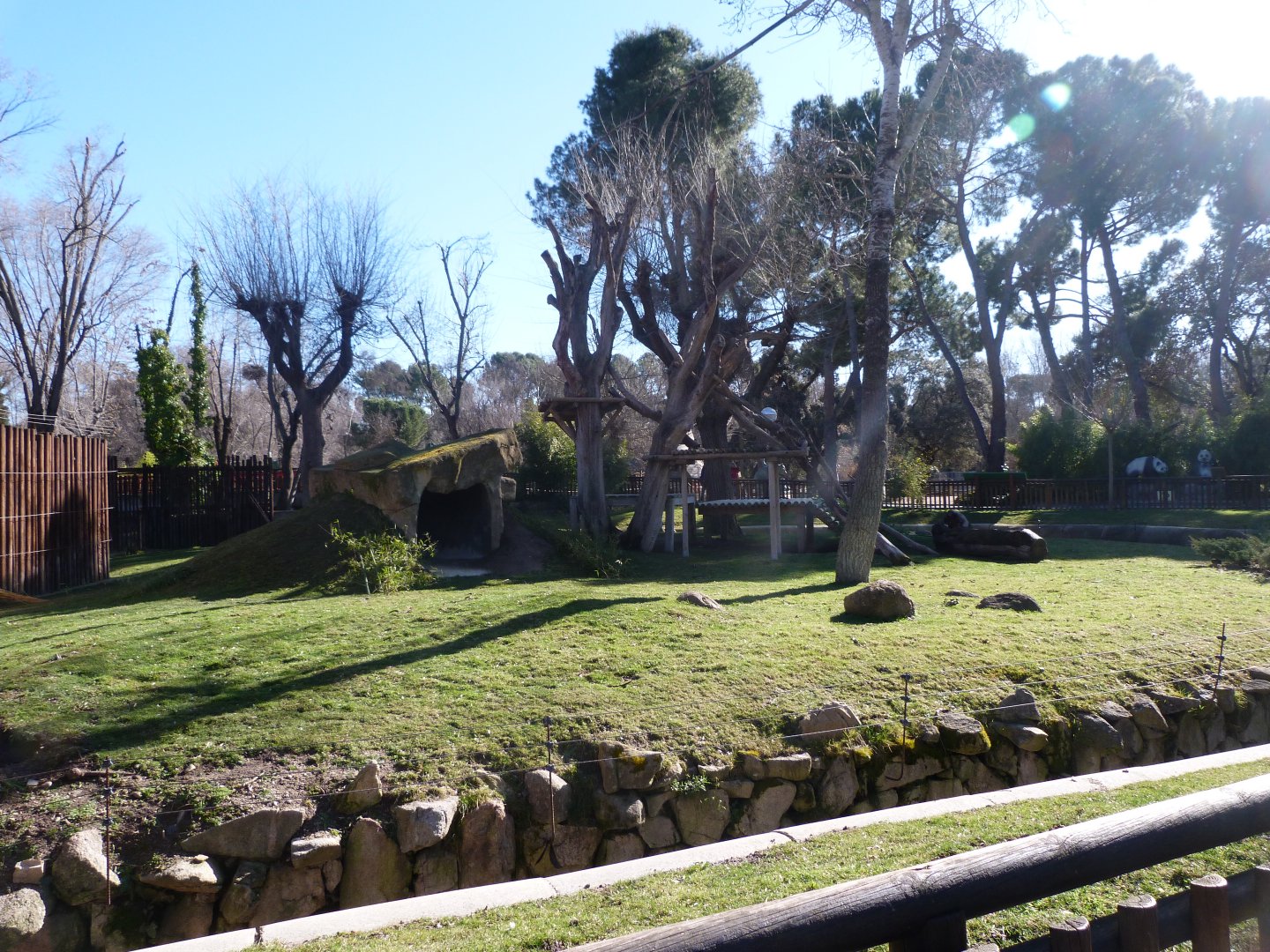 Giant panda exhibit -Zoo Aquarium de Madrid (2025)