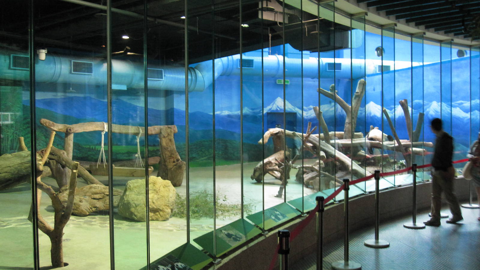 Giant Panda exhibit
