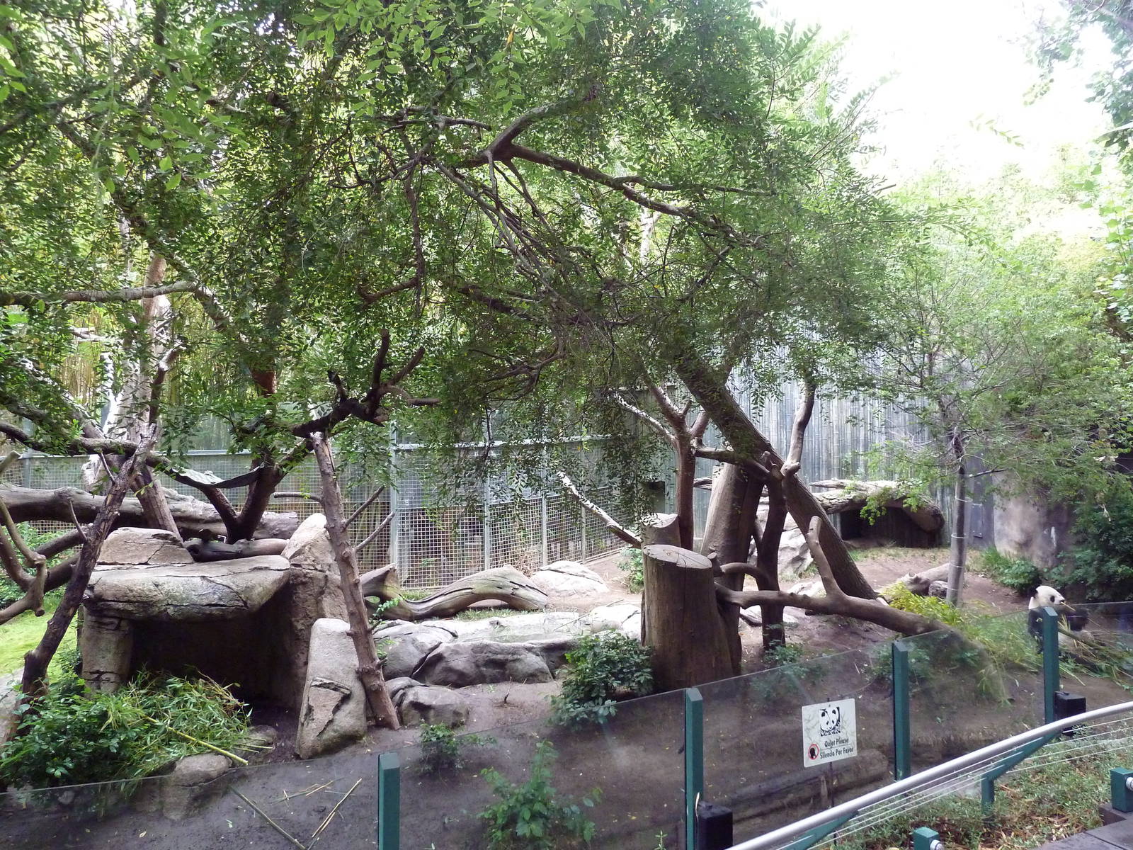 Giant Panda Exhibit
