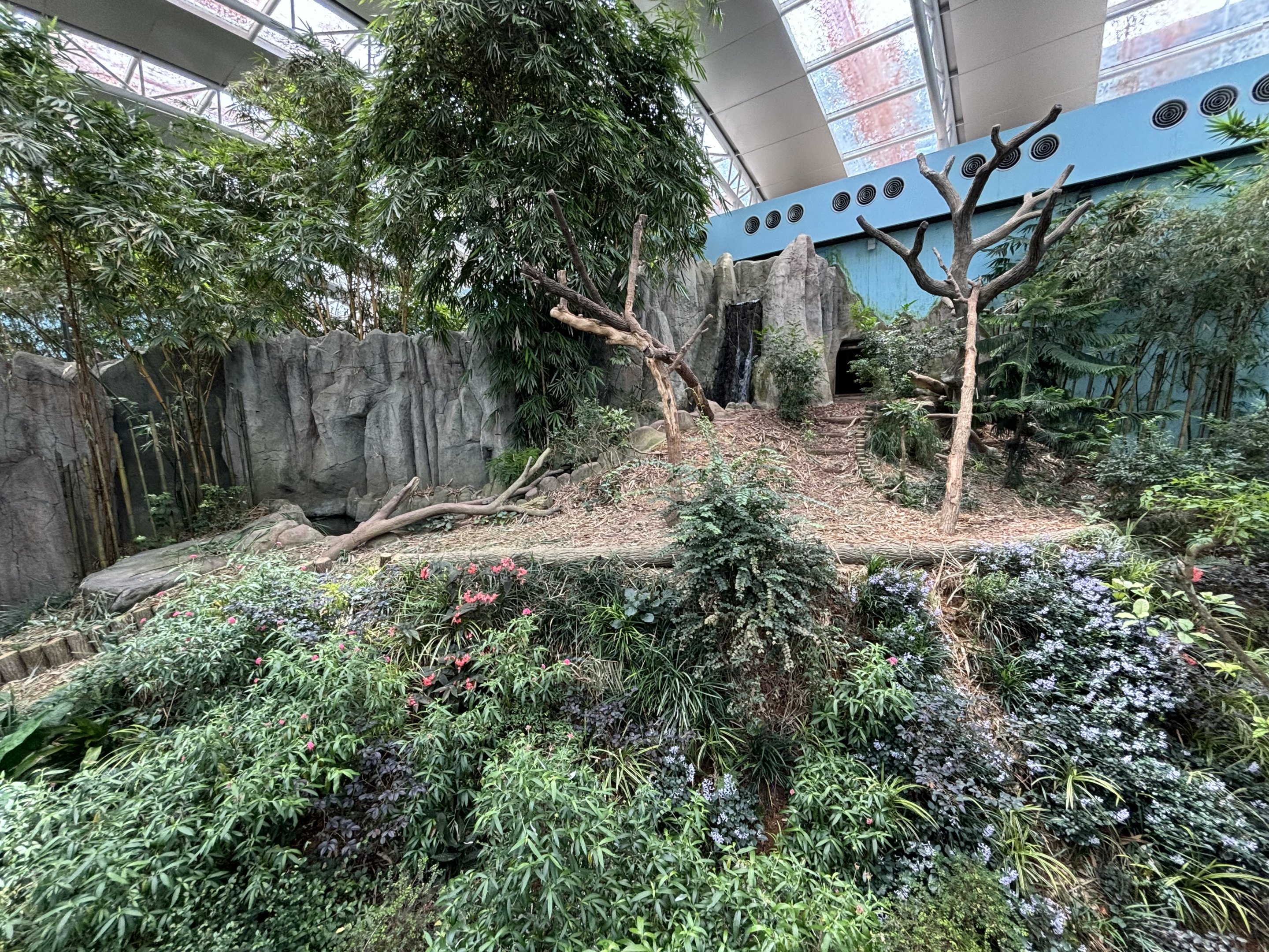 Giant Panda Exhibit