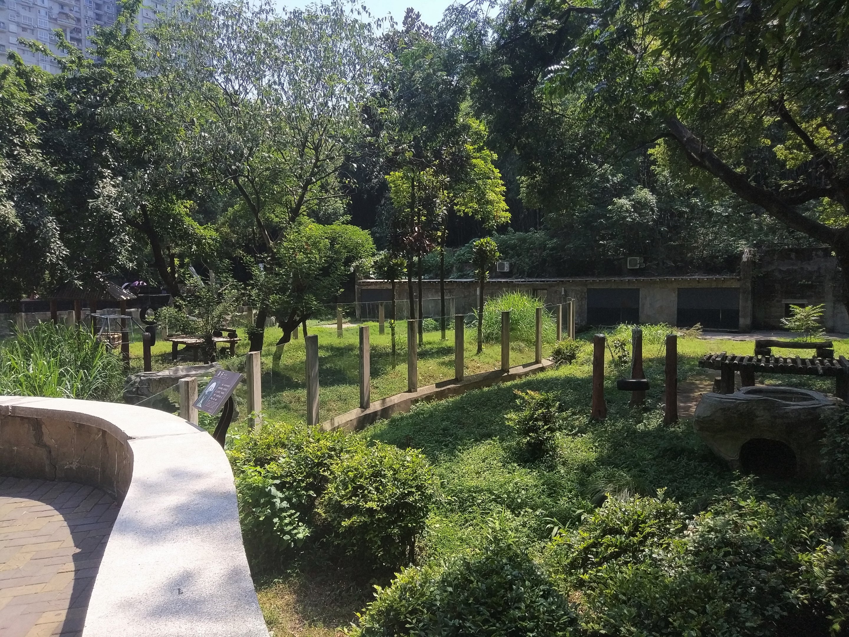 Giant Panda Exhibits