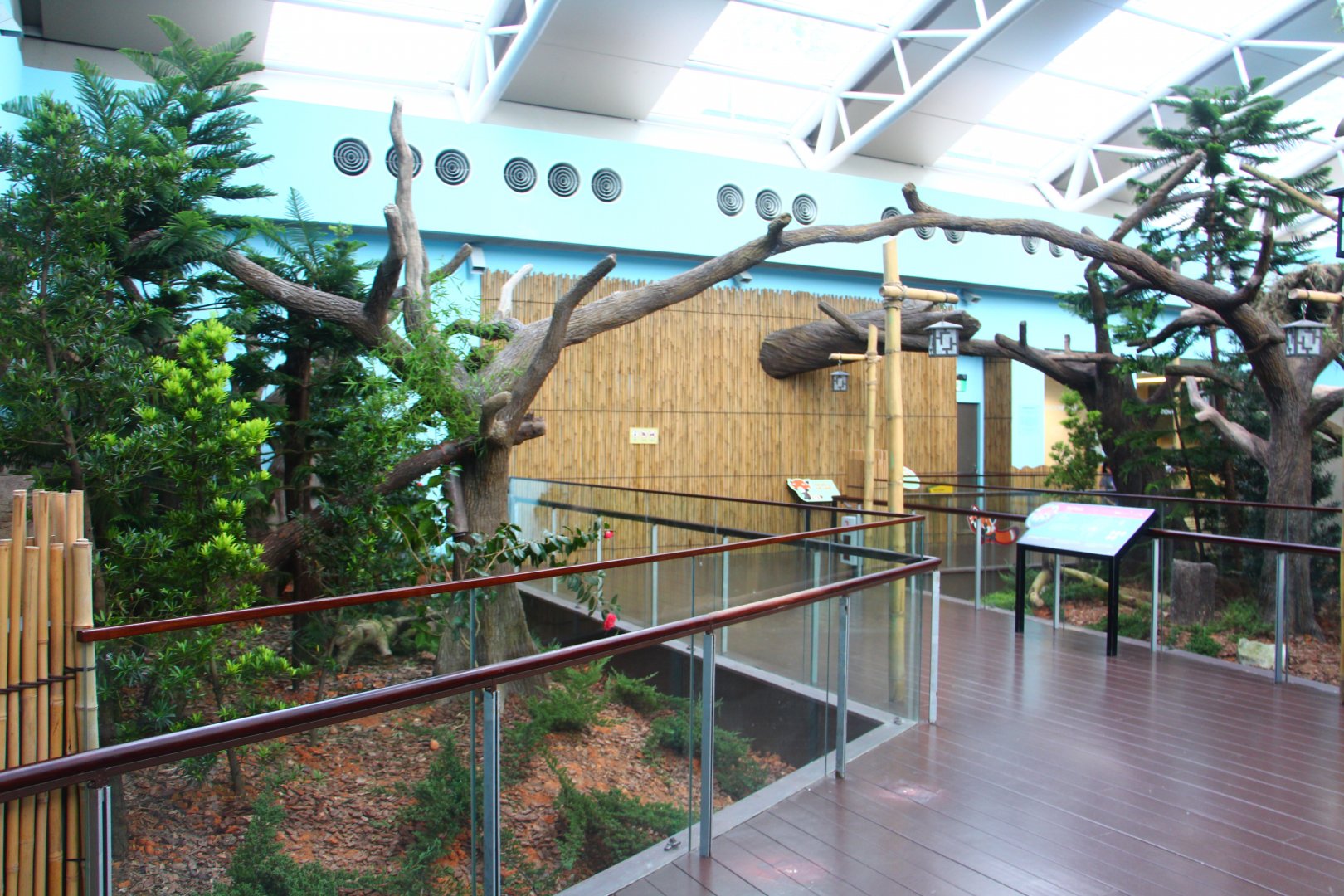 Giant Panda Forest - Red Panda exhibit