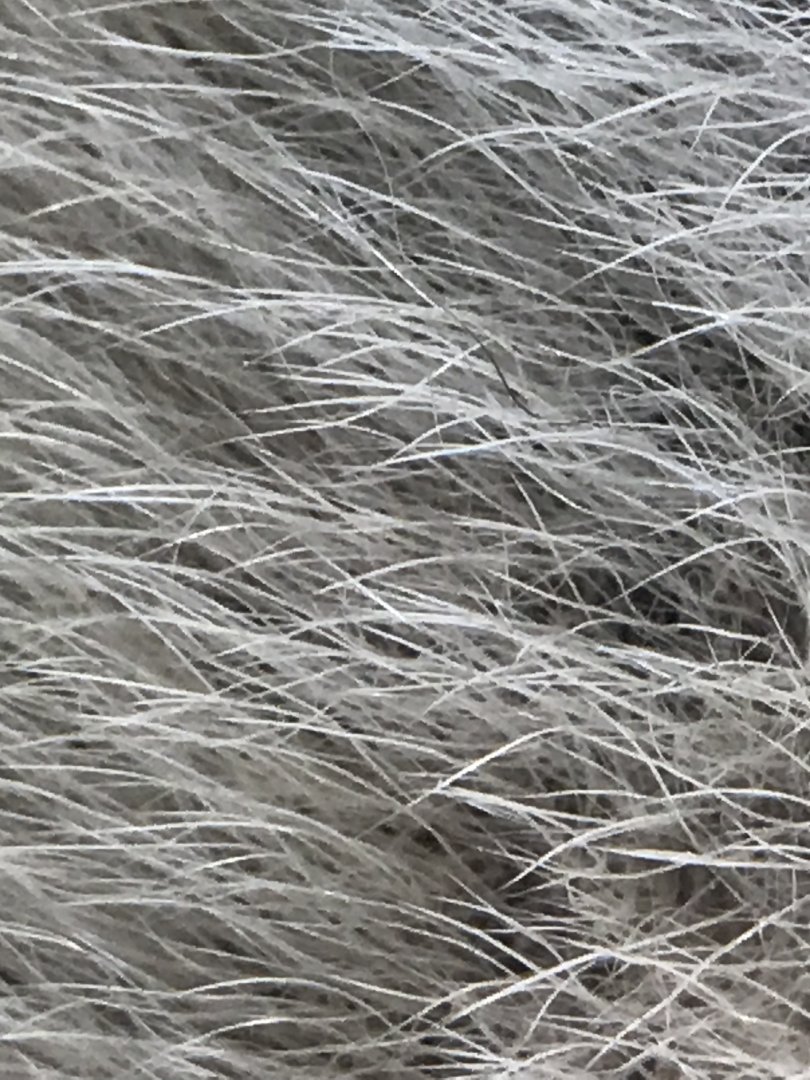 Giant panda fur closeup
