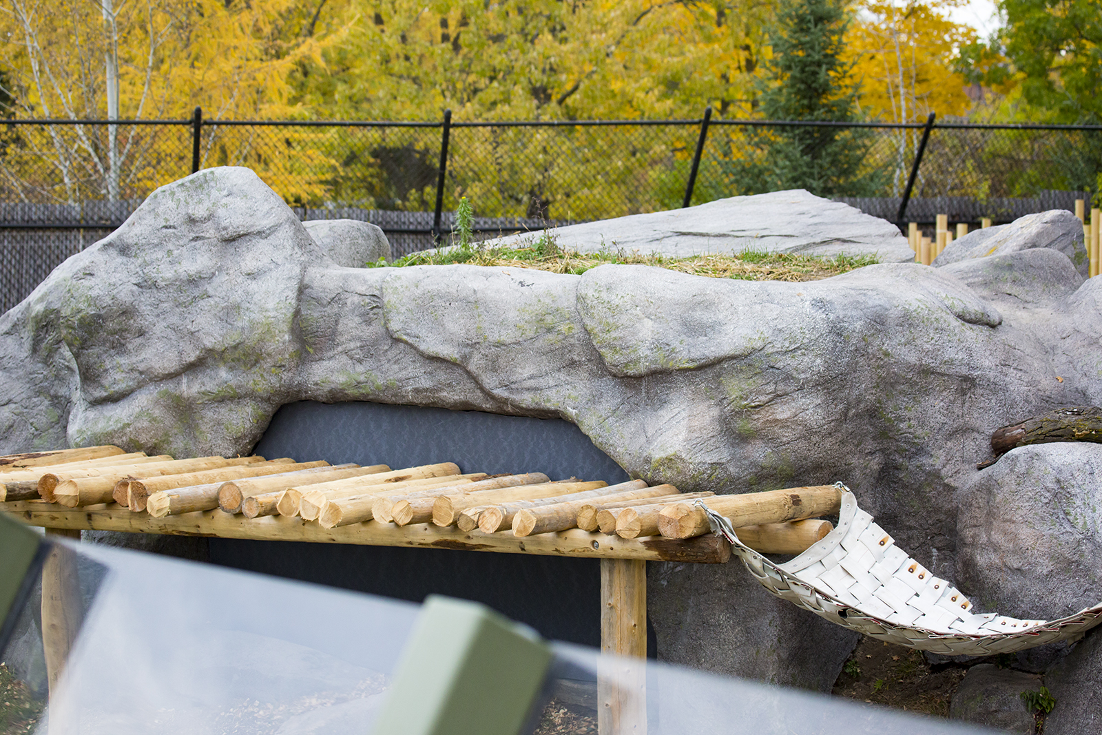 Giant Panda Habitat Renovations