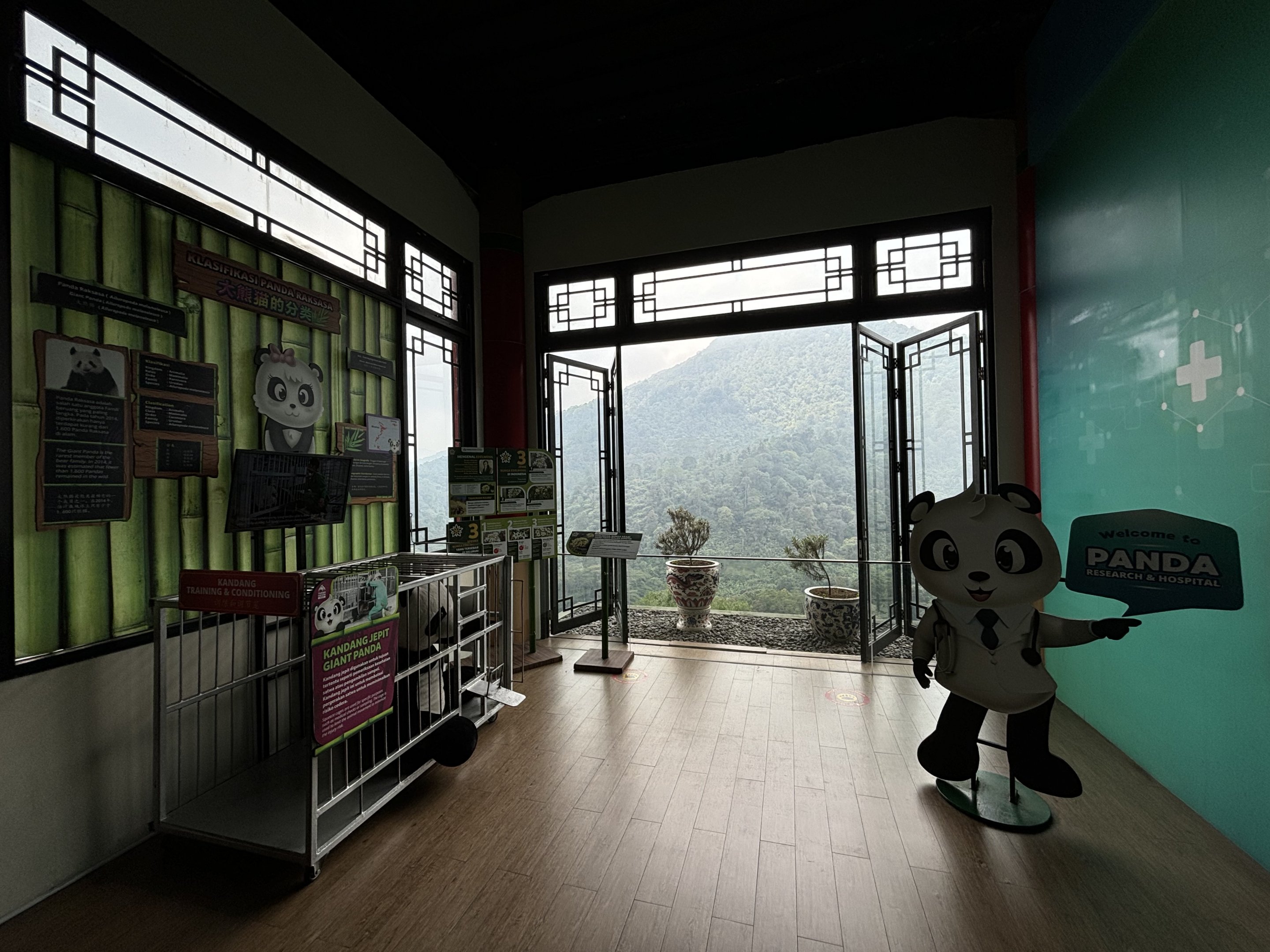 Giant Panda Hospital - Giant Panda Complex