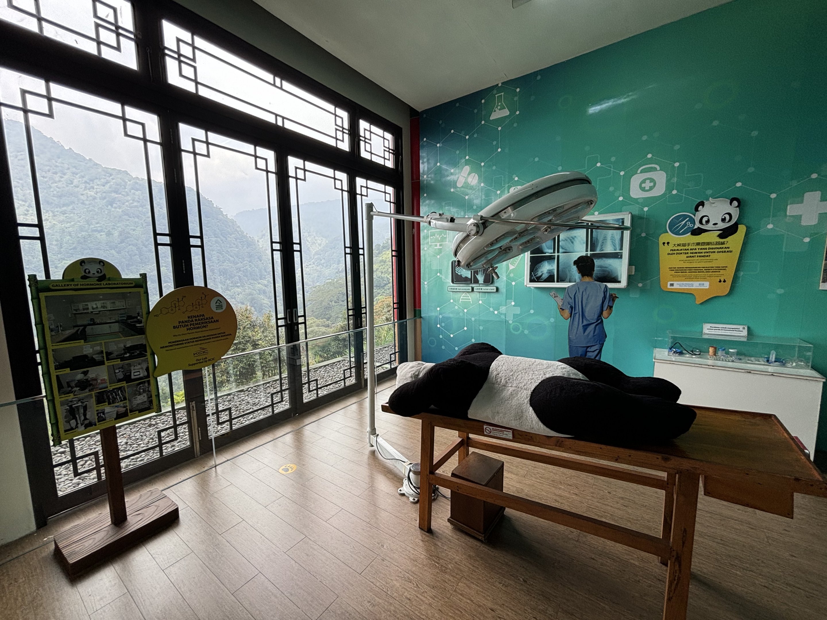 Giant Panda Hospital - Giant Panda Complex