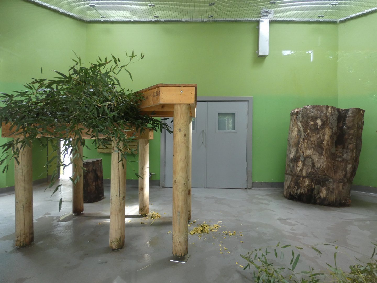 Giant panda indoor enclosure (female)