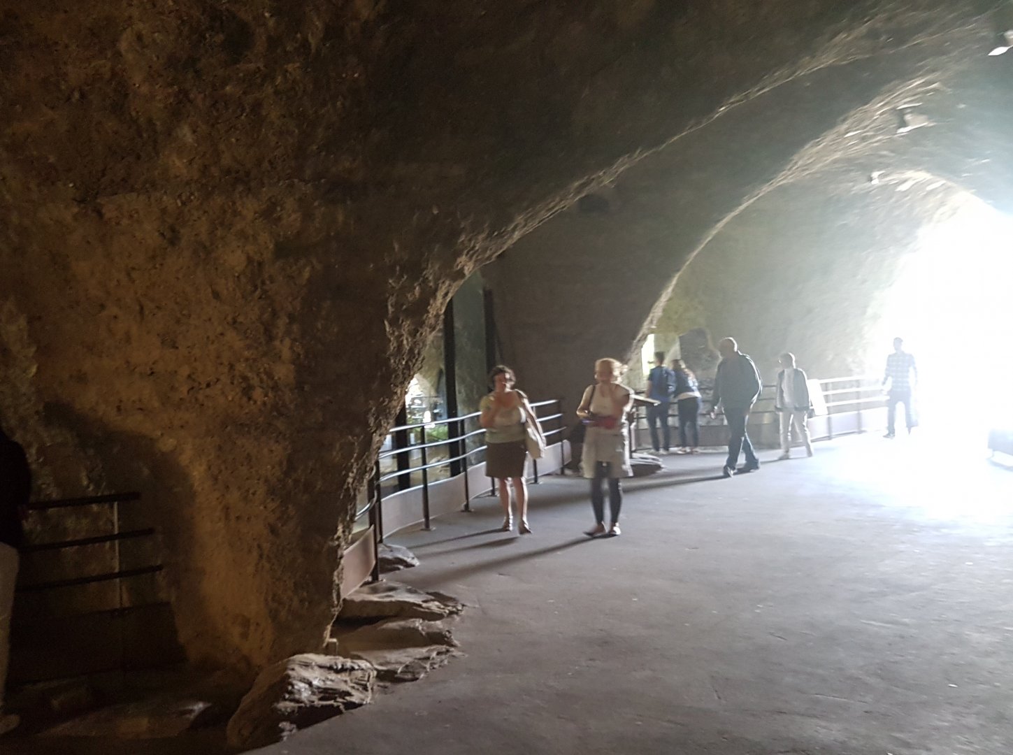 Giant panda indoor-grotto