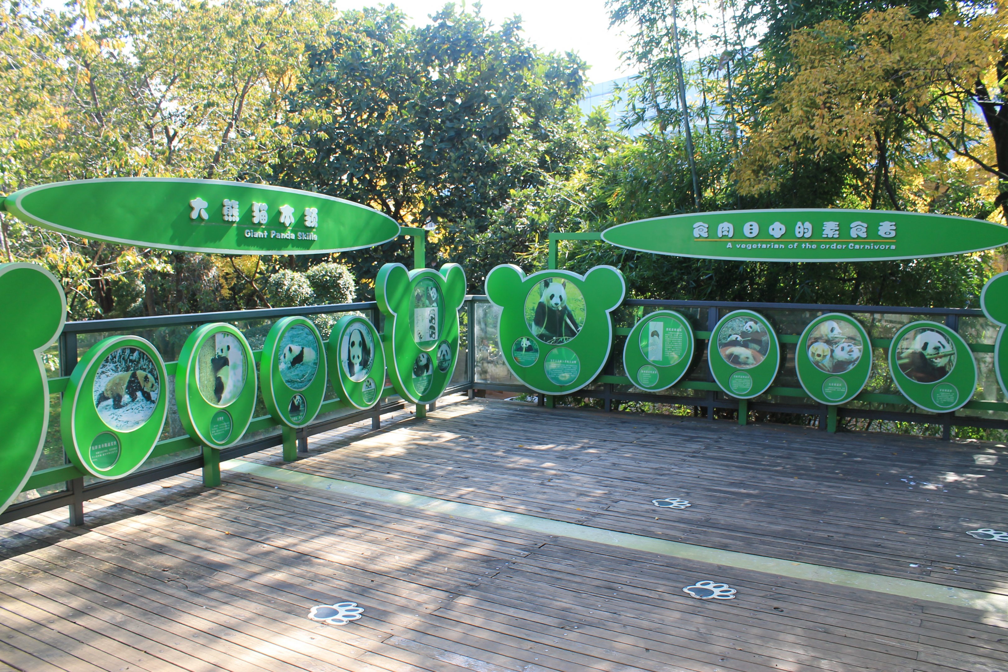 Giant Panda information signs