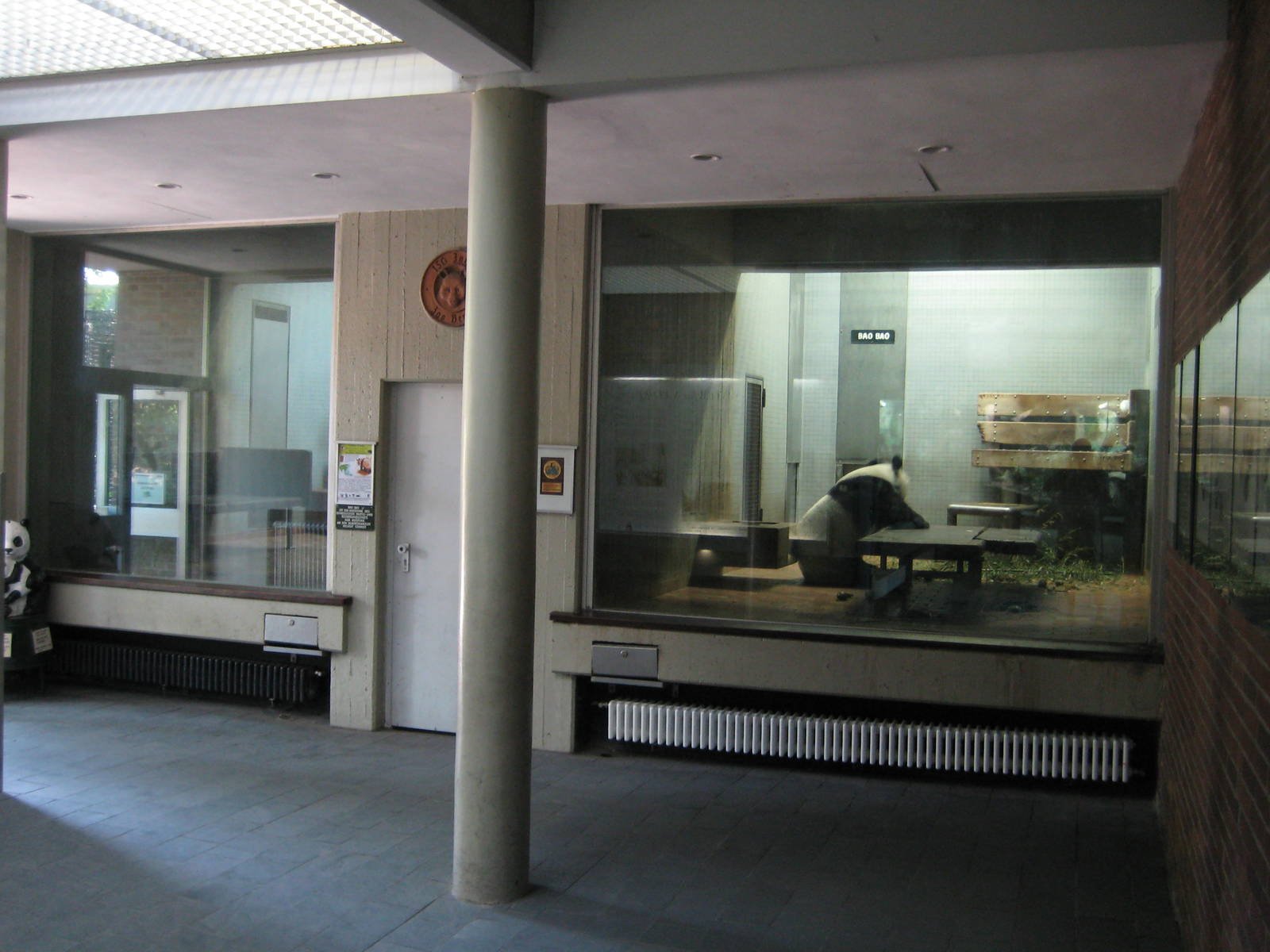 Giant panda Inside cages