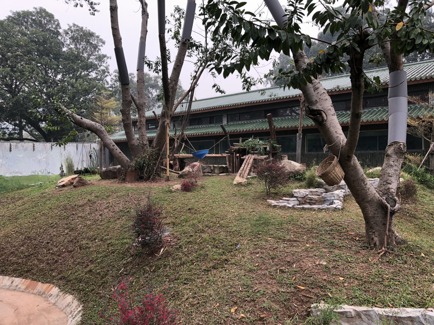 Giant Panda Outdoor Exhibit #1