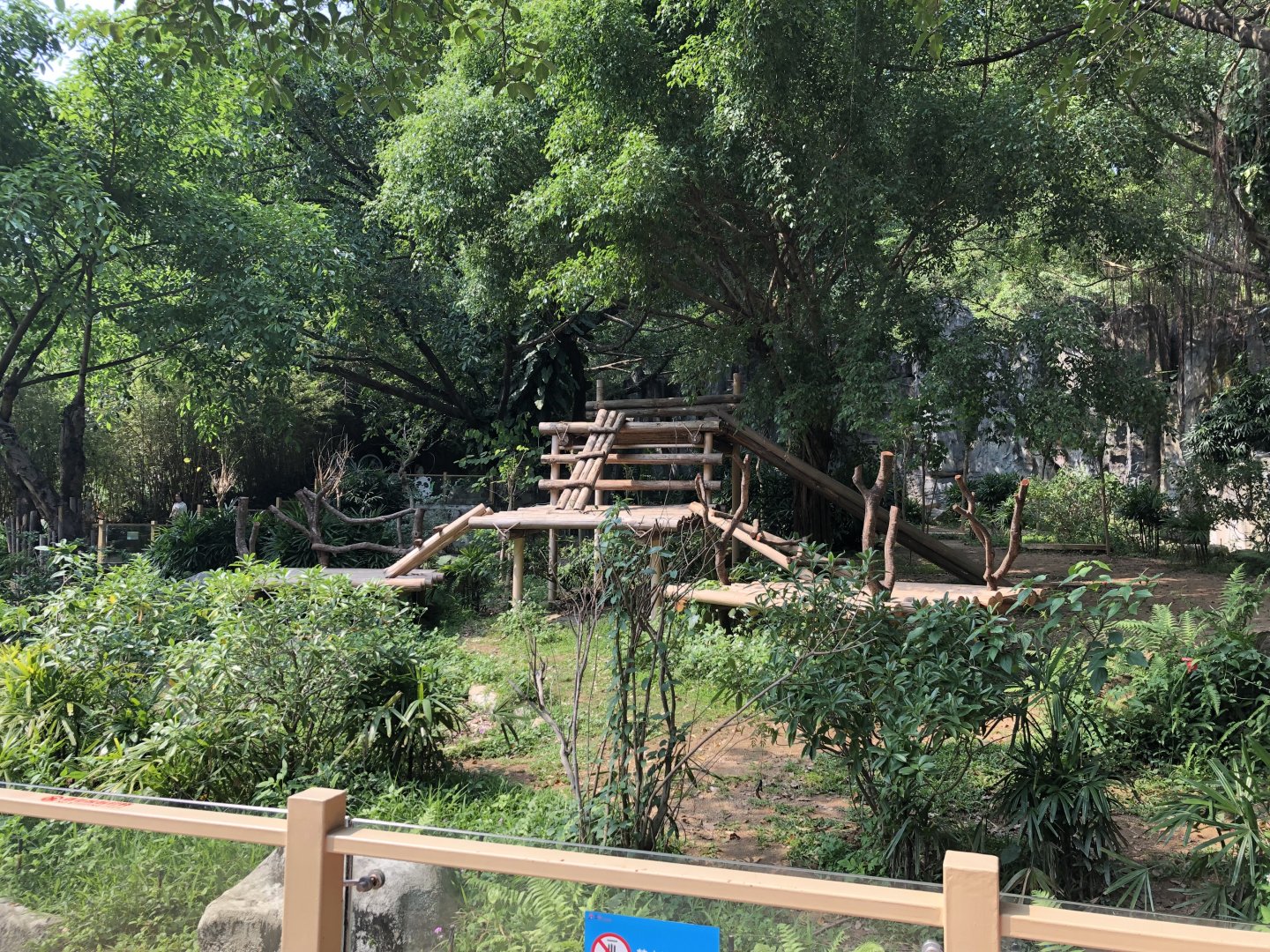 Giant Panda Outdoor Exhibit