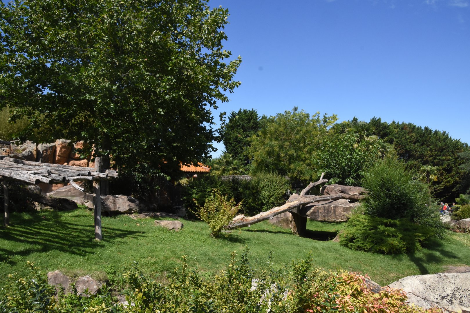 Giant Panda outdoours (1/2)