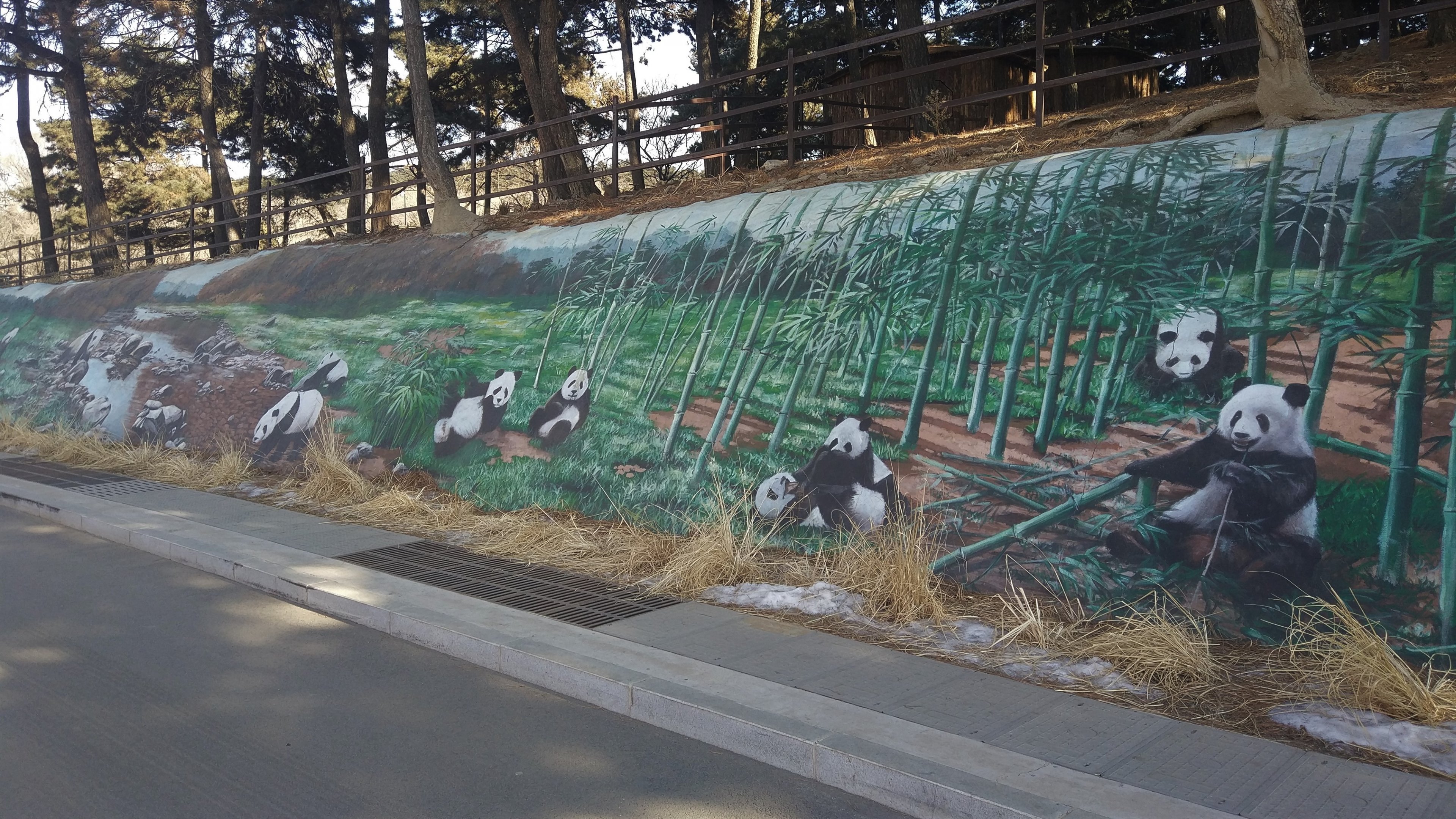 Giant Panda Rock Mural