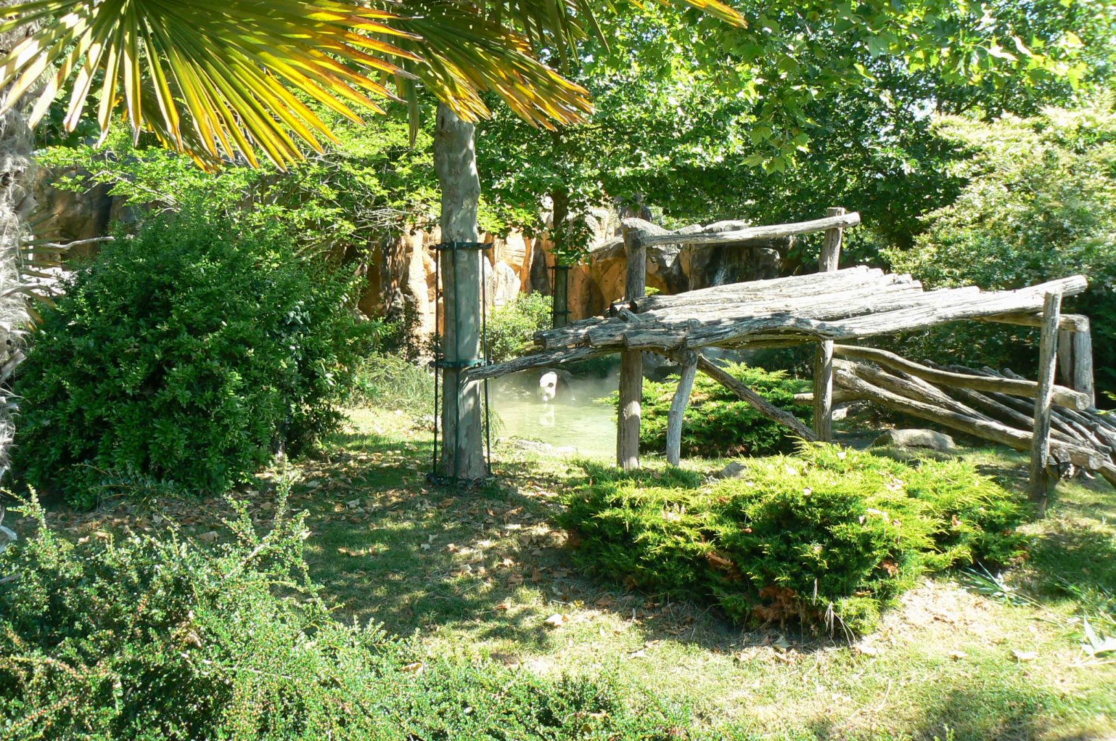Giant panda second enclosure