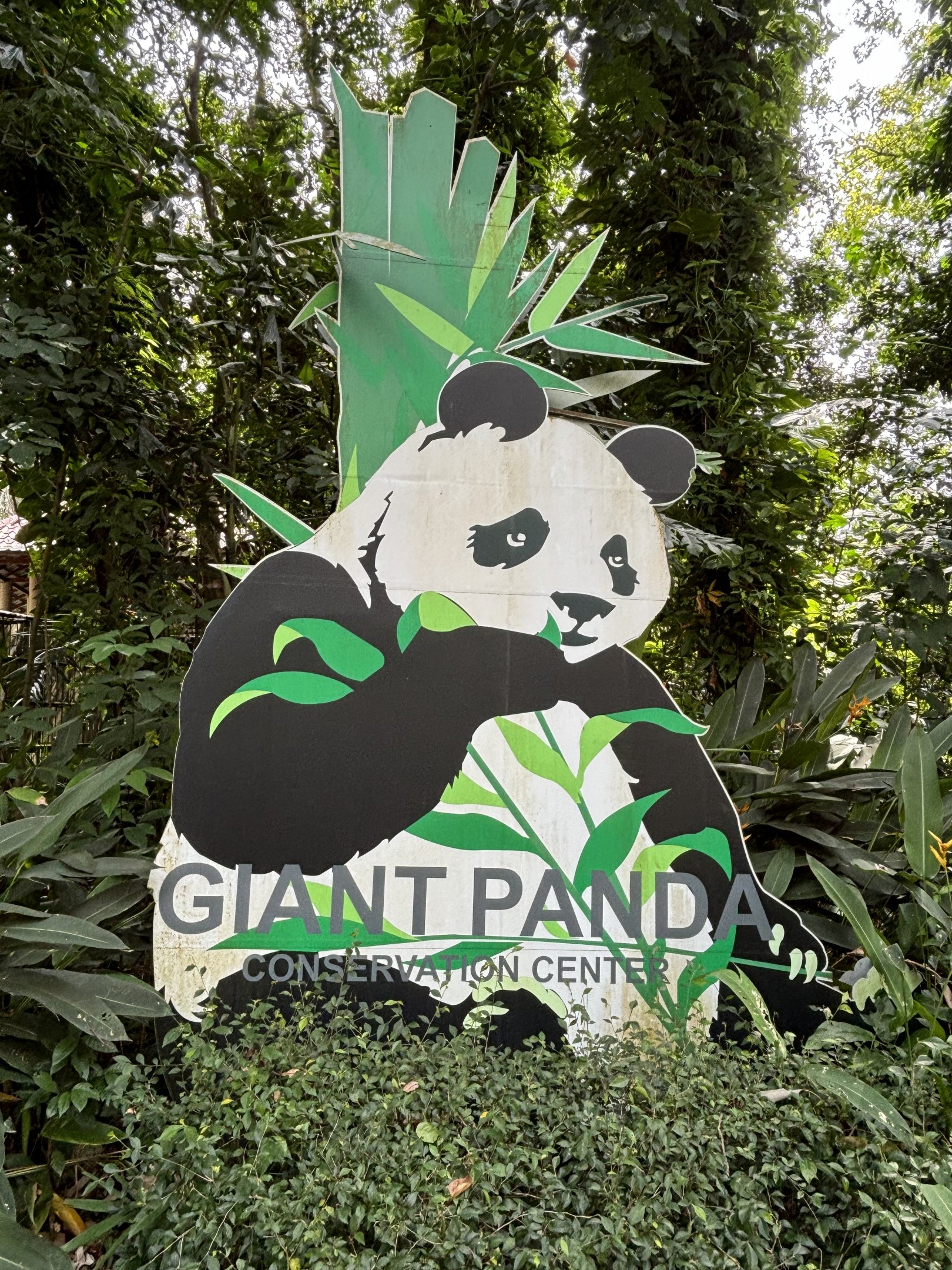 Giant Panda Sign
