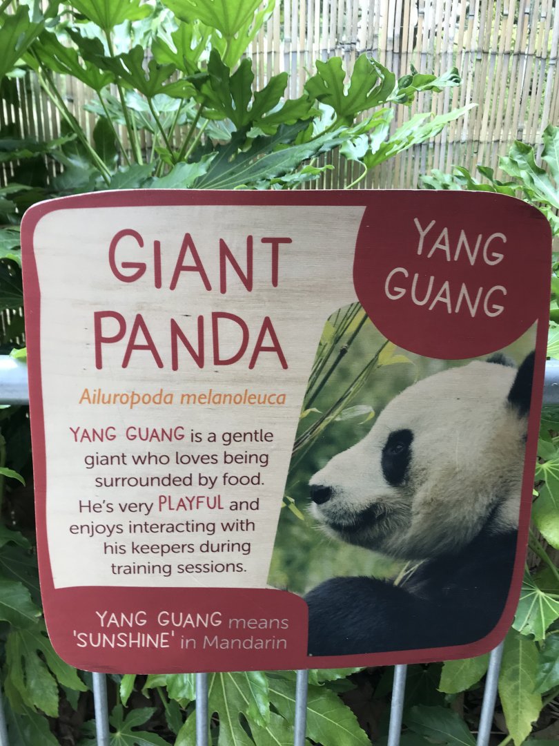 Giant panda signage