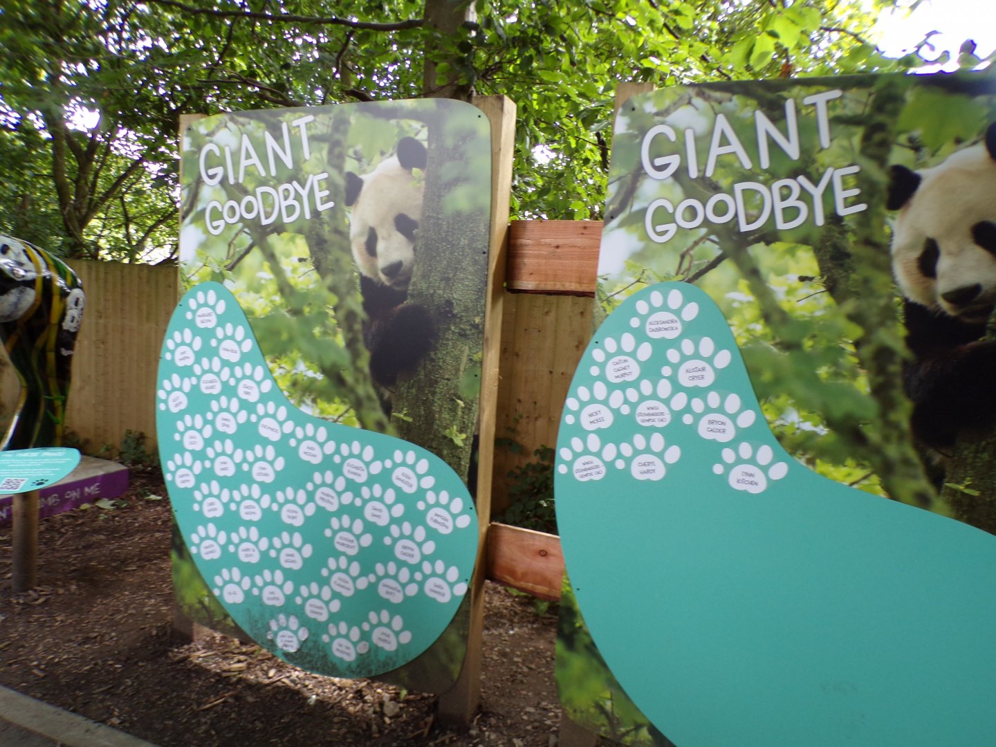 Giant panda sponsorship board 17.7.23