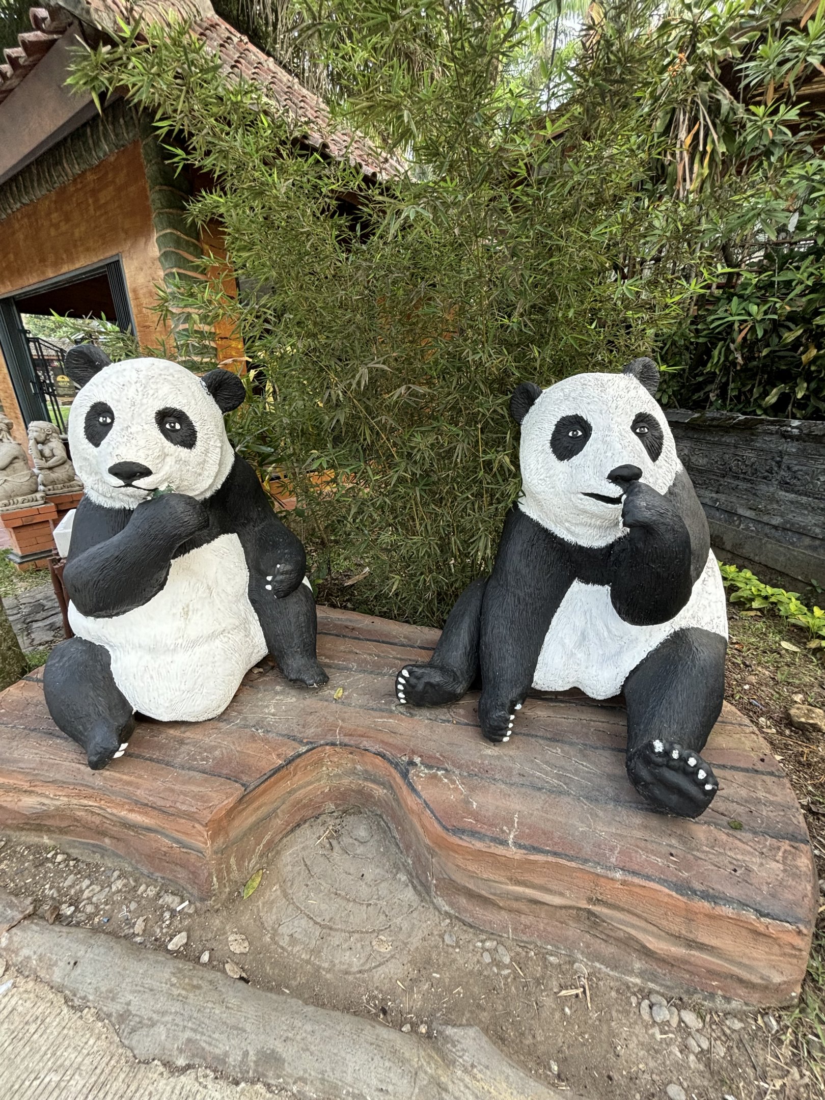 Giant Panda Statues - Royal Safari Garden Resort