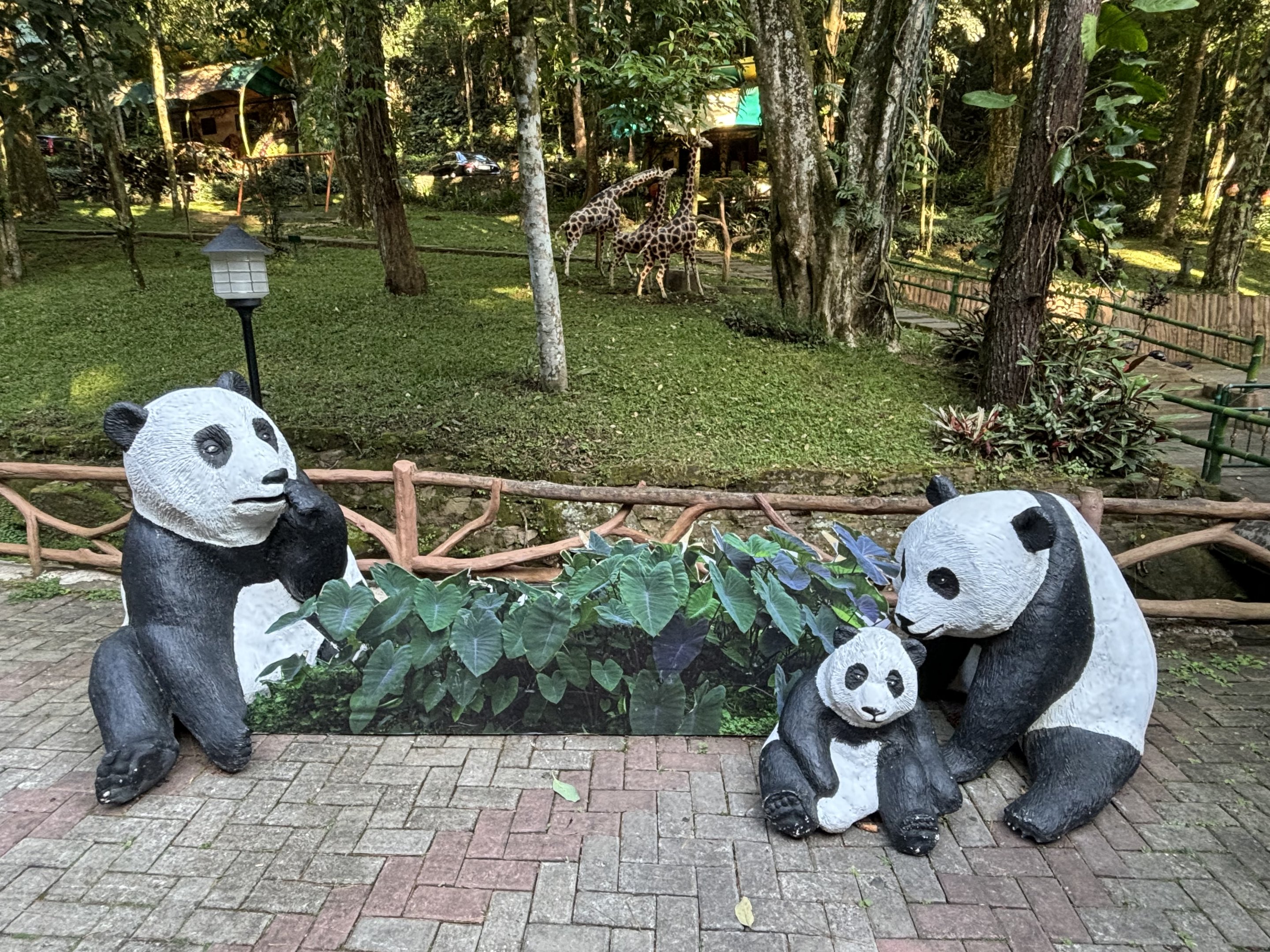 Giant Panda Statues