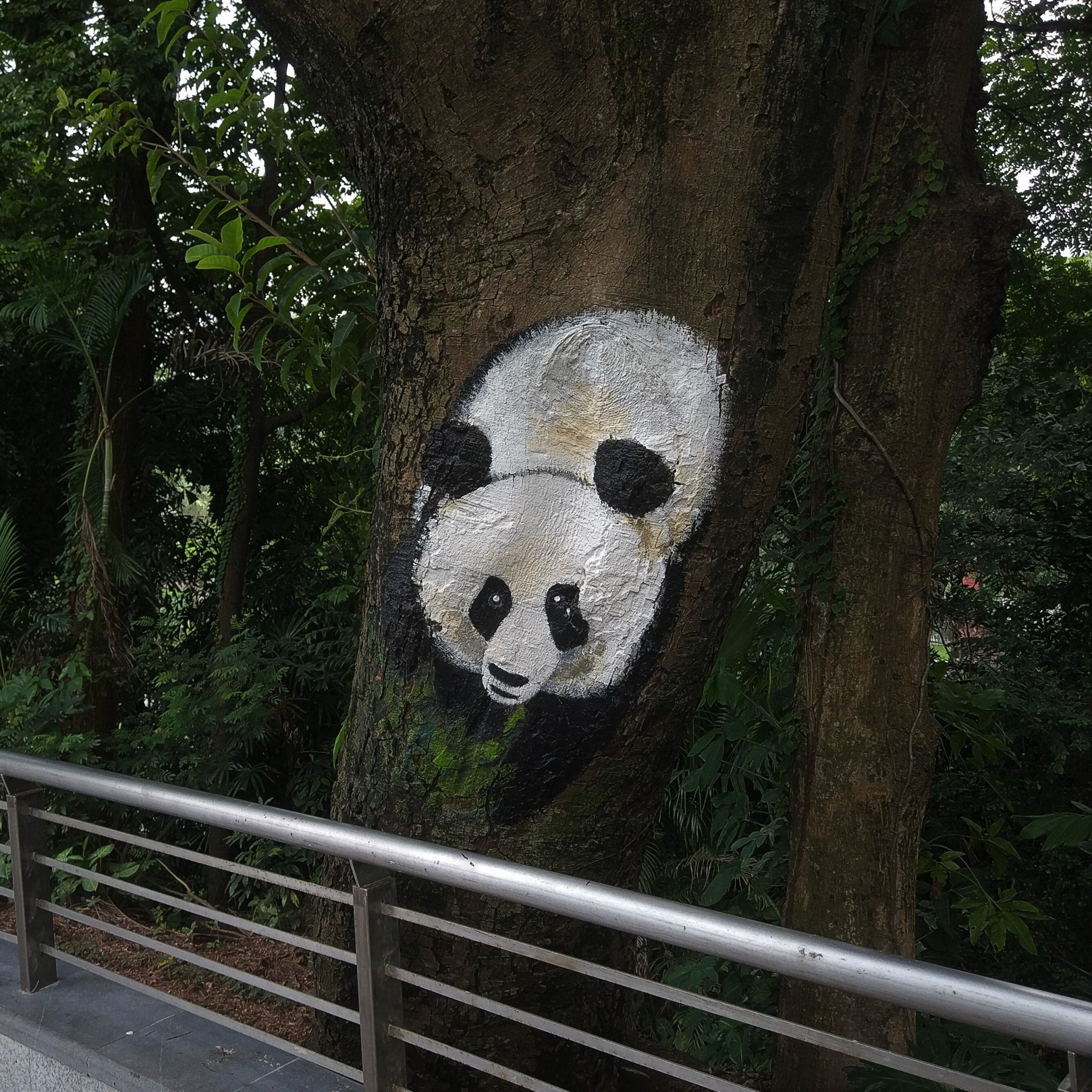 Giant Panda Tree Art