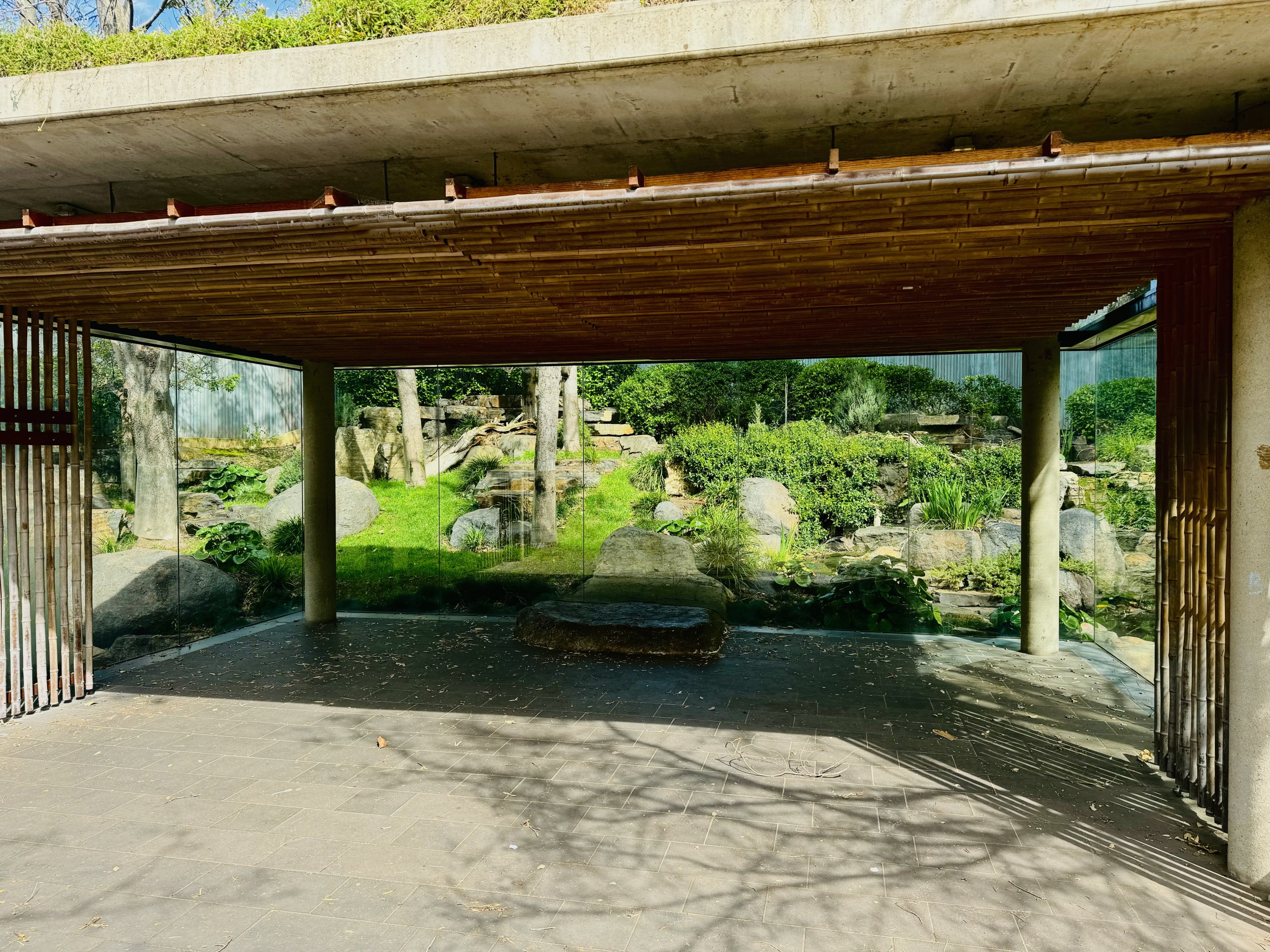 Giant panda viewing area