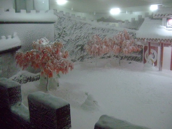 Giant Panda Winter (Snow) Exhibit Area