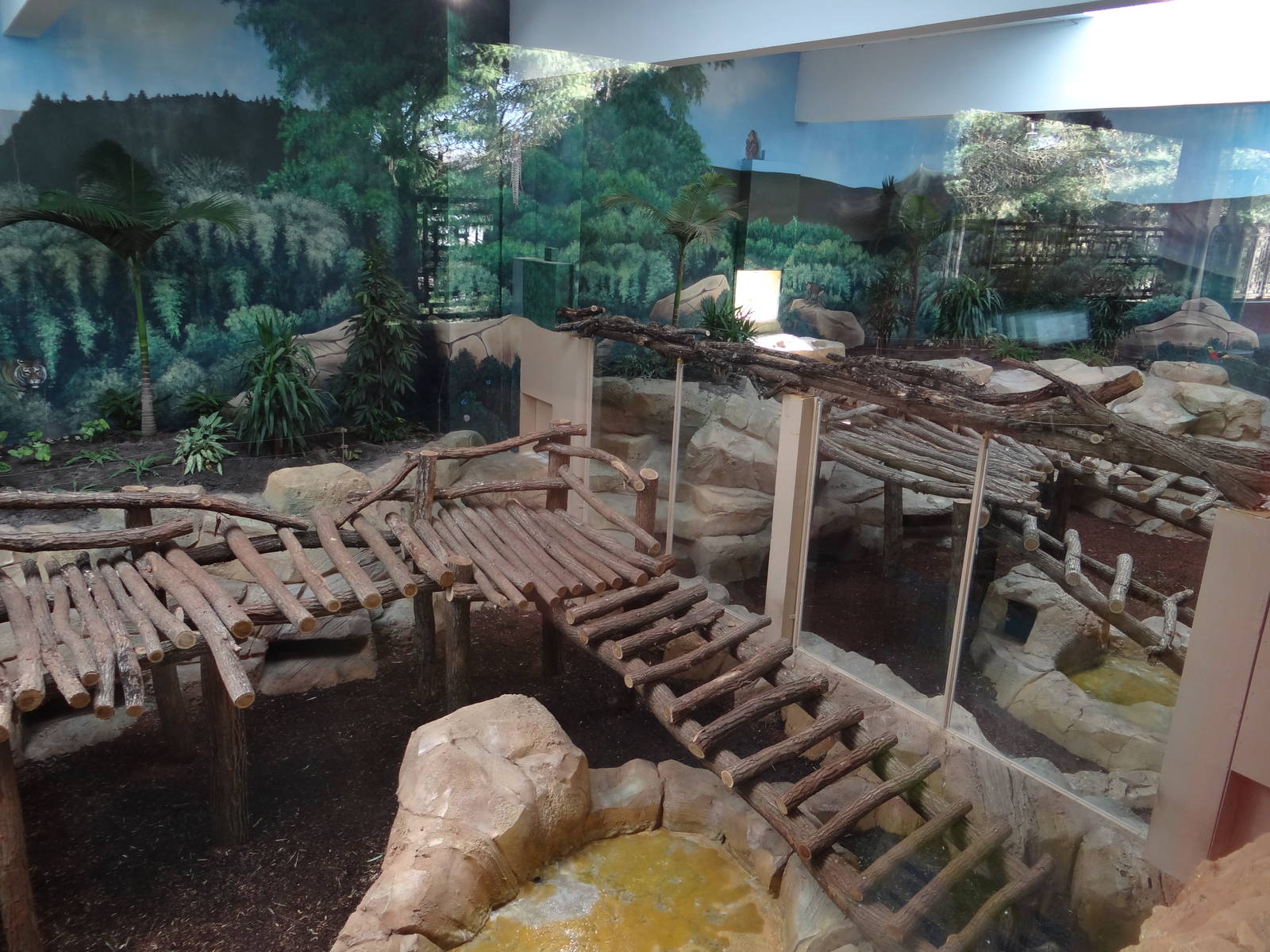 Giant pandas indoor exhibit